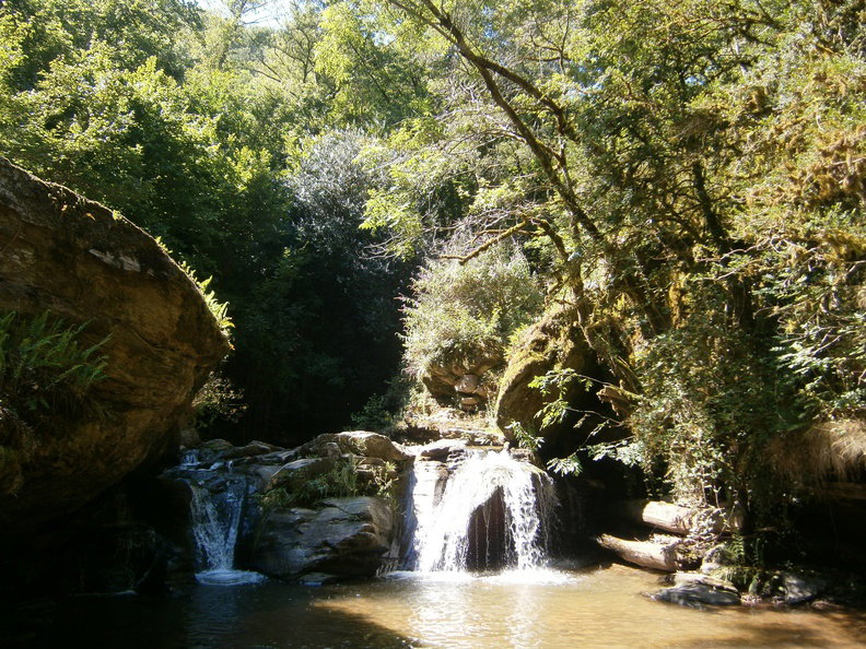- image: 13