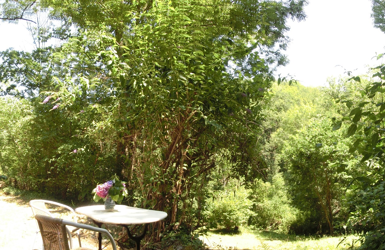Maison nature à La Bastide-Solages