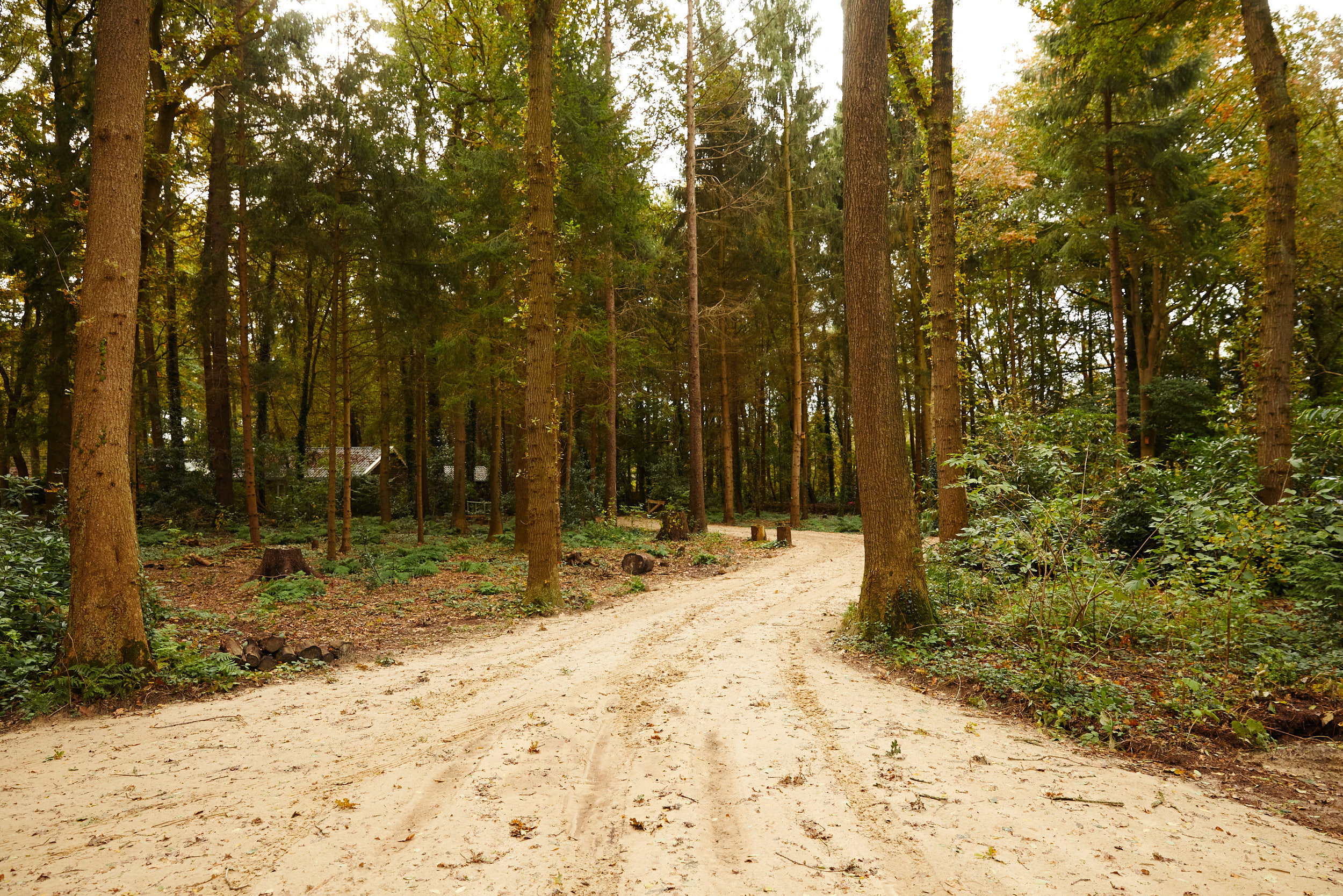 Nature house in Norg