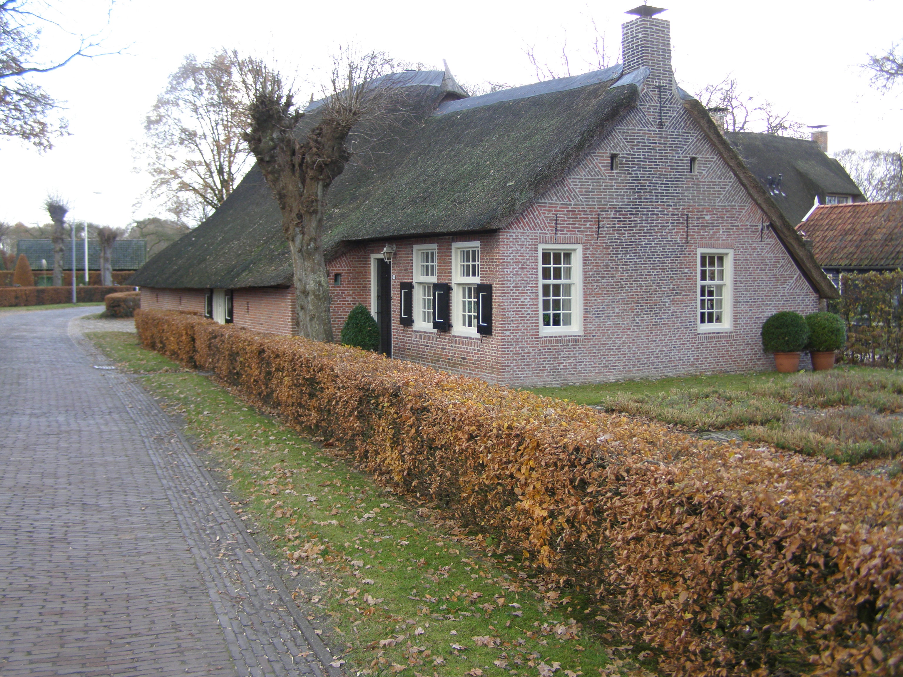 - image: 19