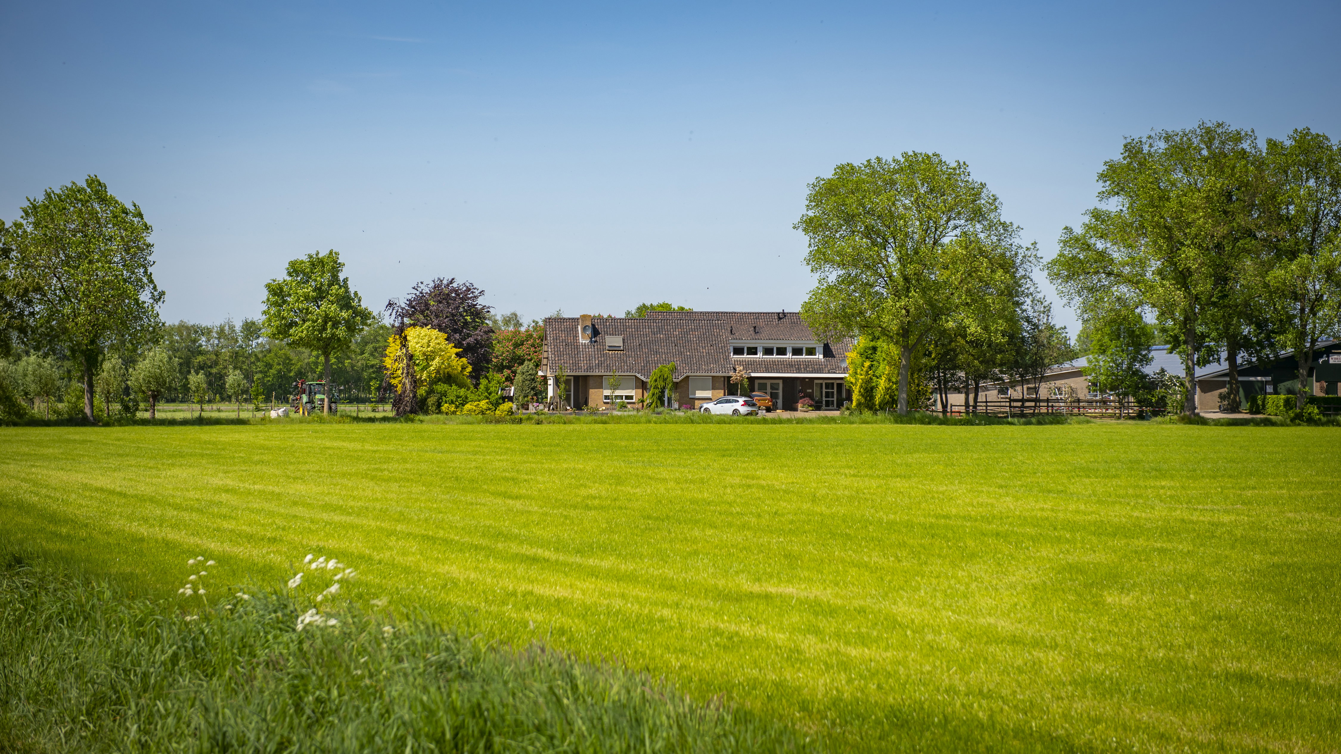 Naturhäuschen in Harreveld