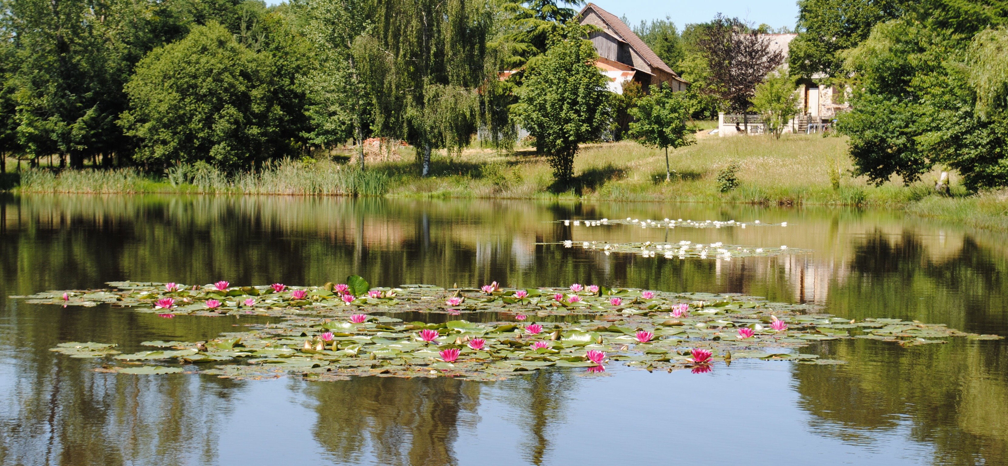 Natuurhuisje in Sarlande
