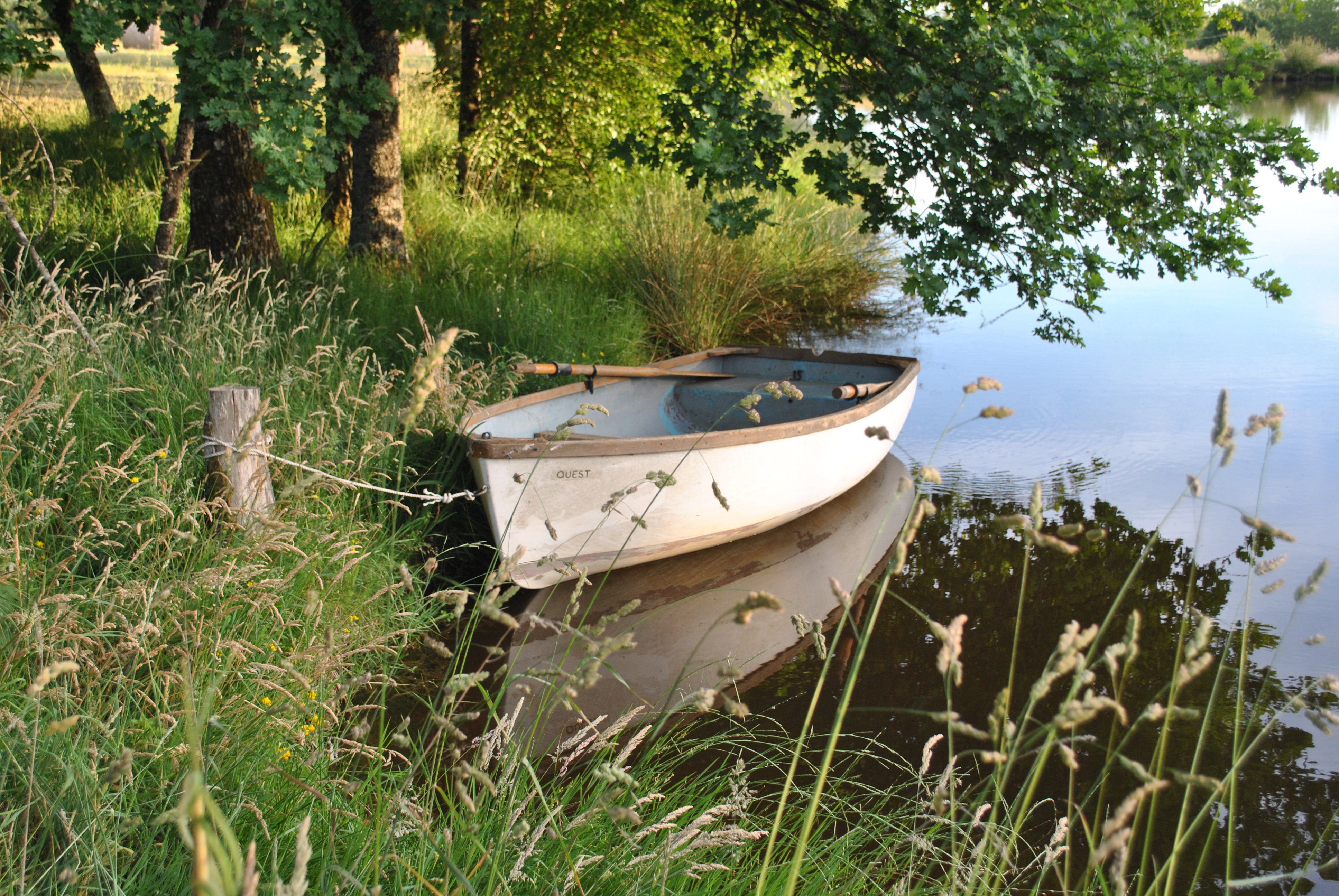 - image: 11