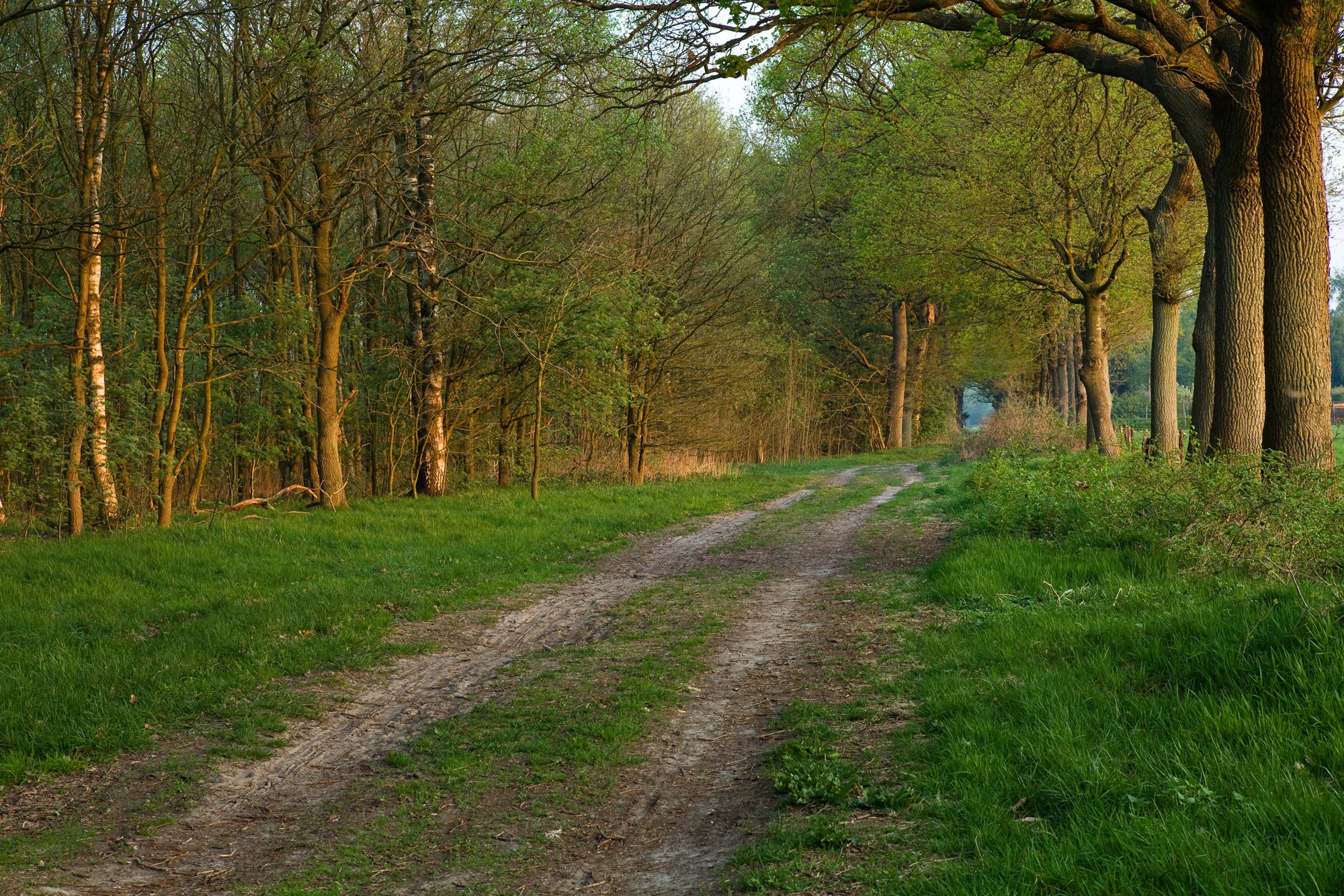 - image: 28