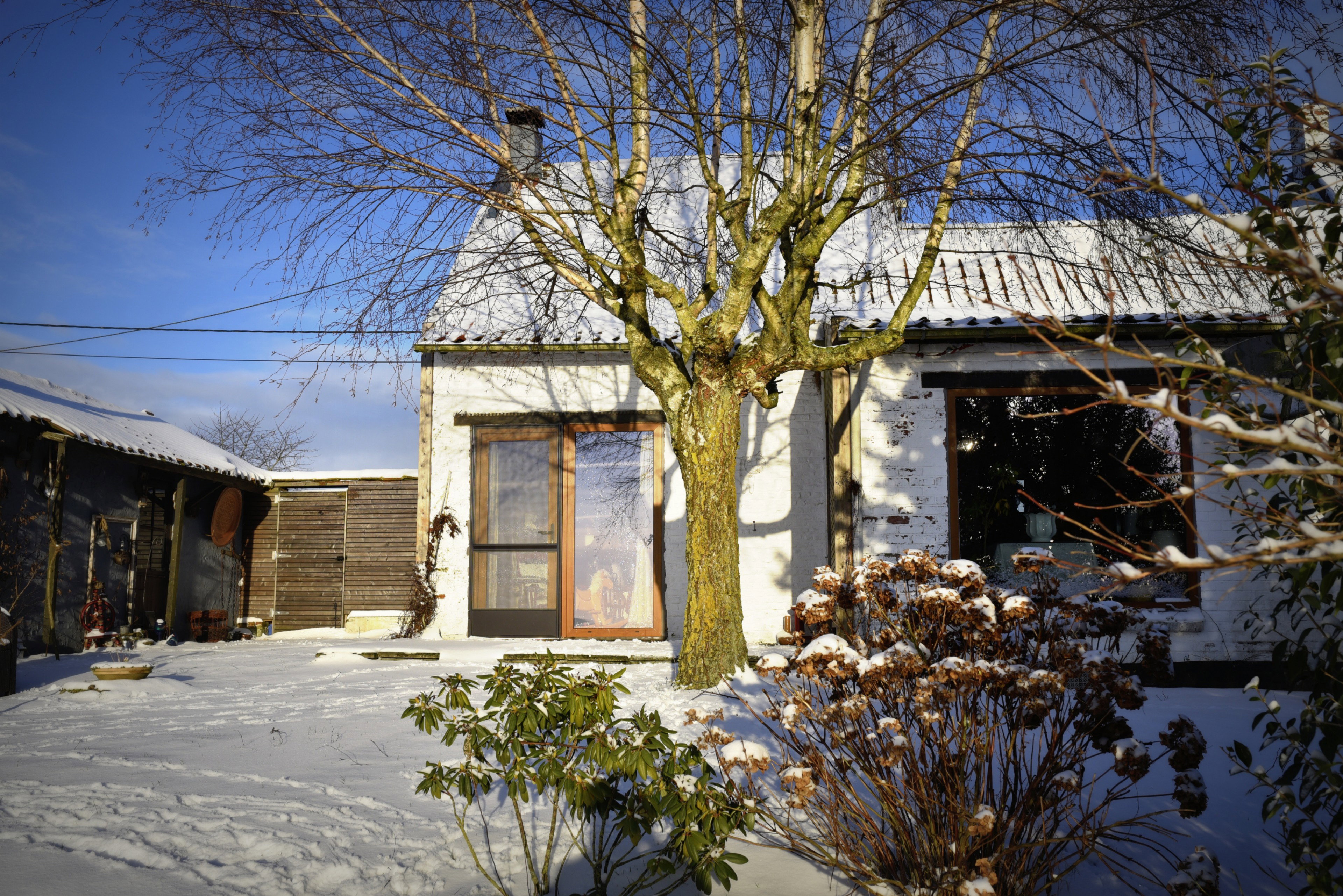 - image: 115