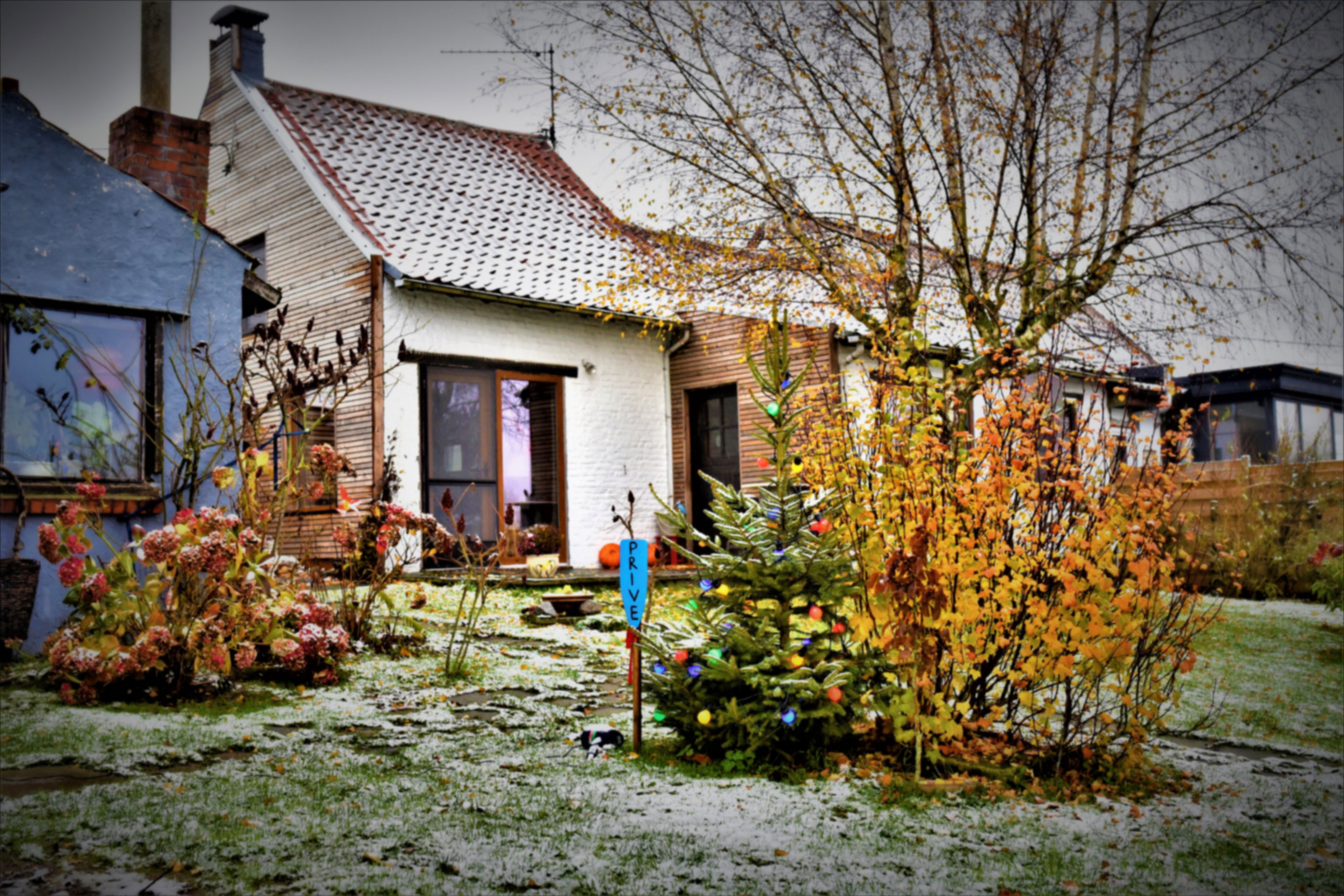 - image: 79
