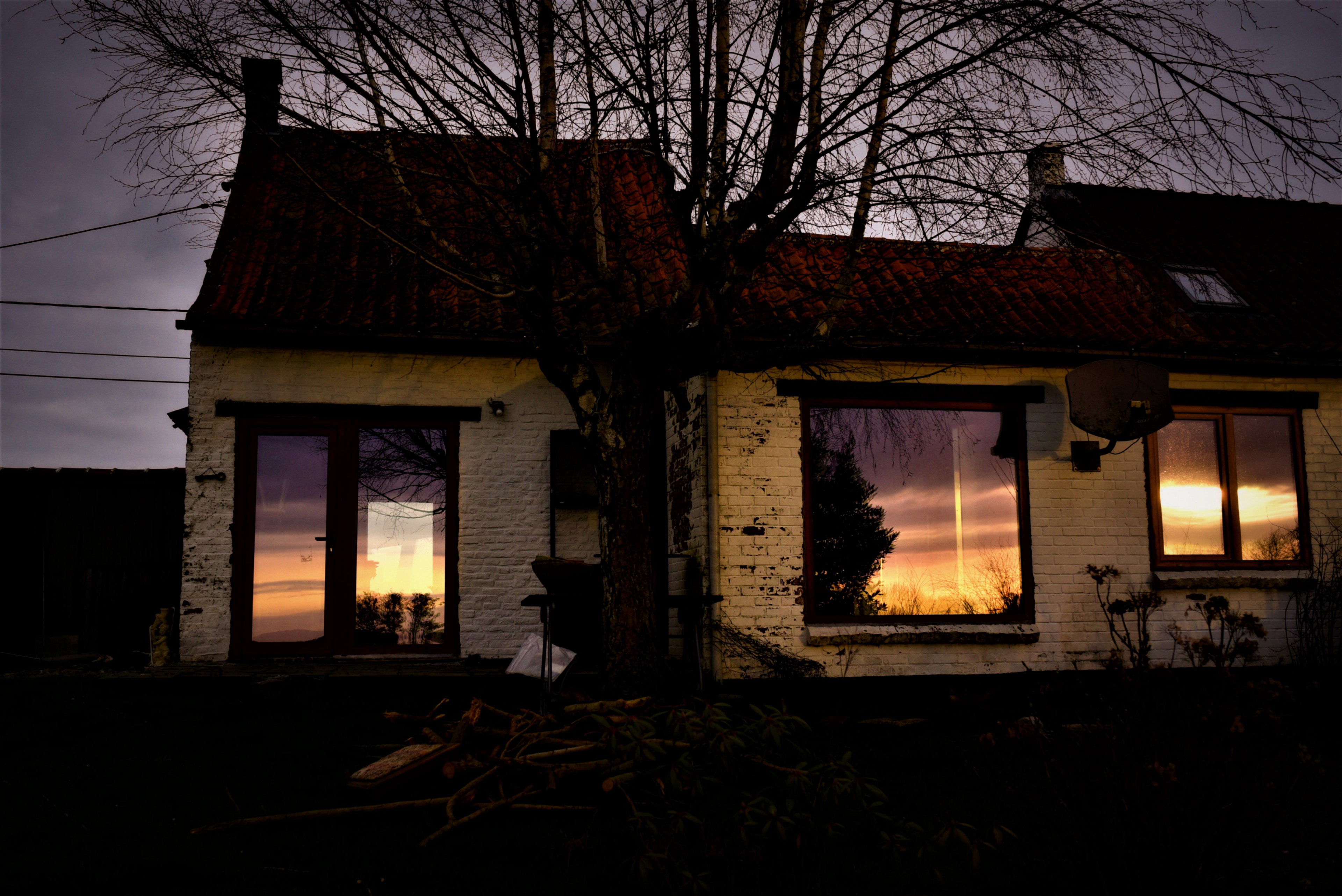 - image: 87