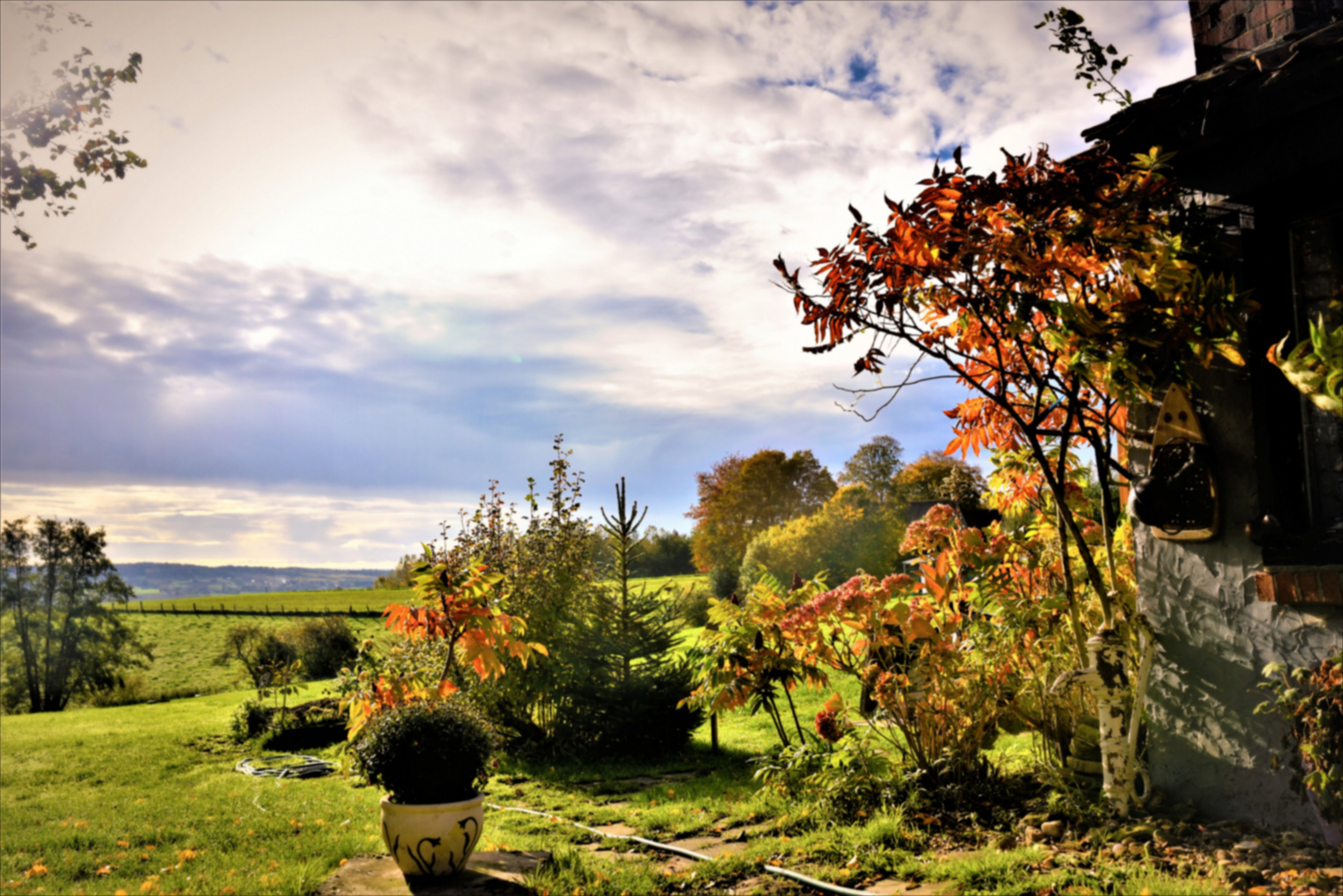 - image: 13