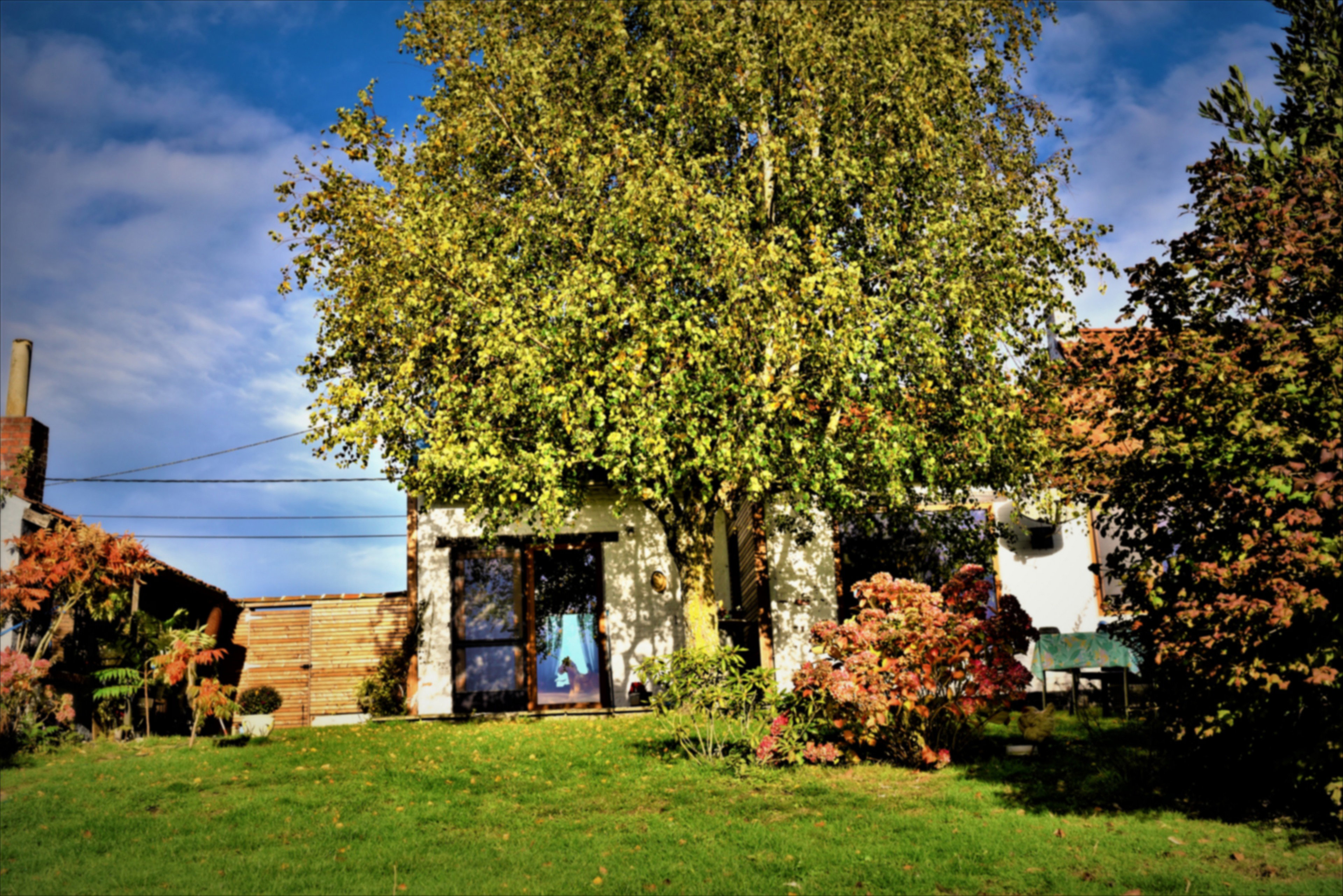 - image: 17