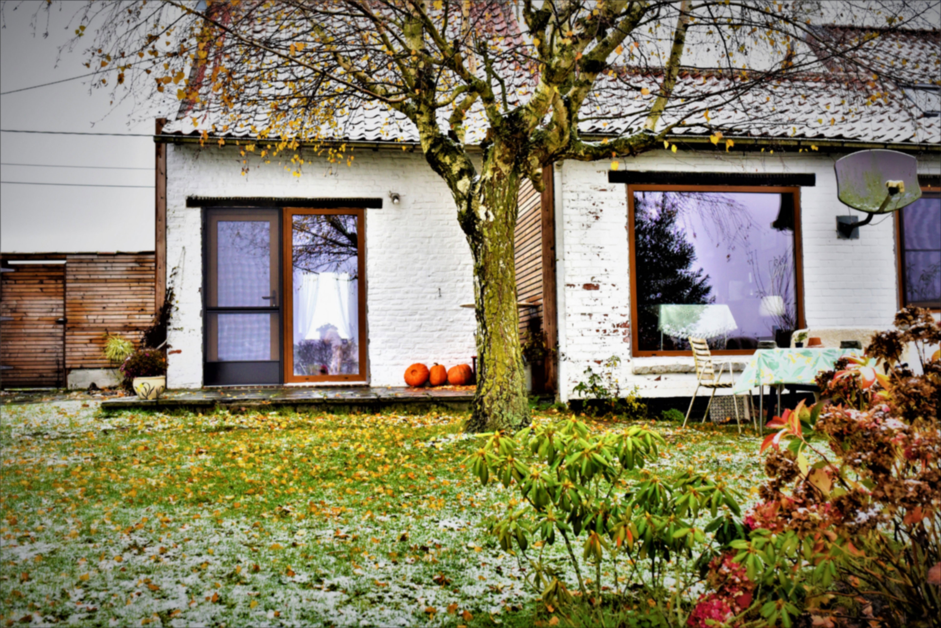 - image: 78