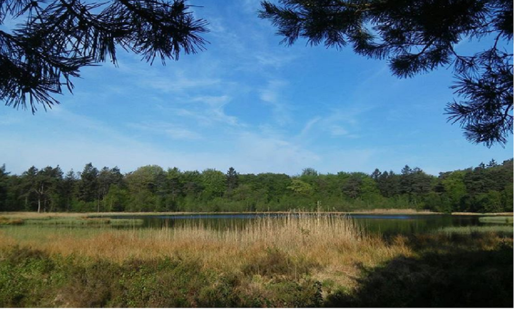 Naturhäuschen in Een