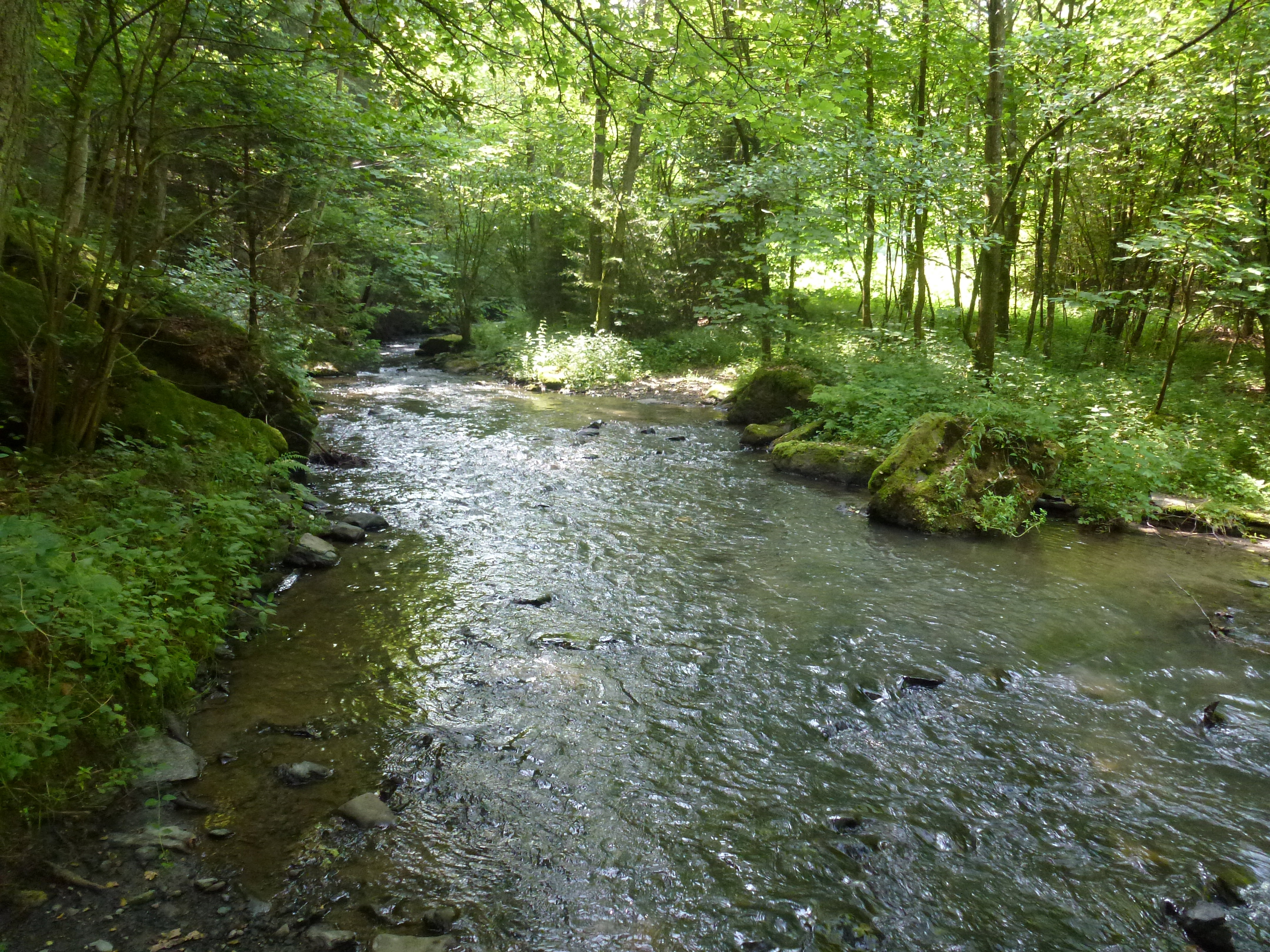 - image: 27