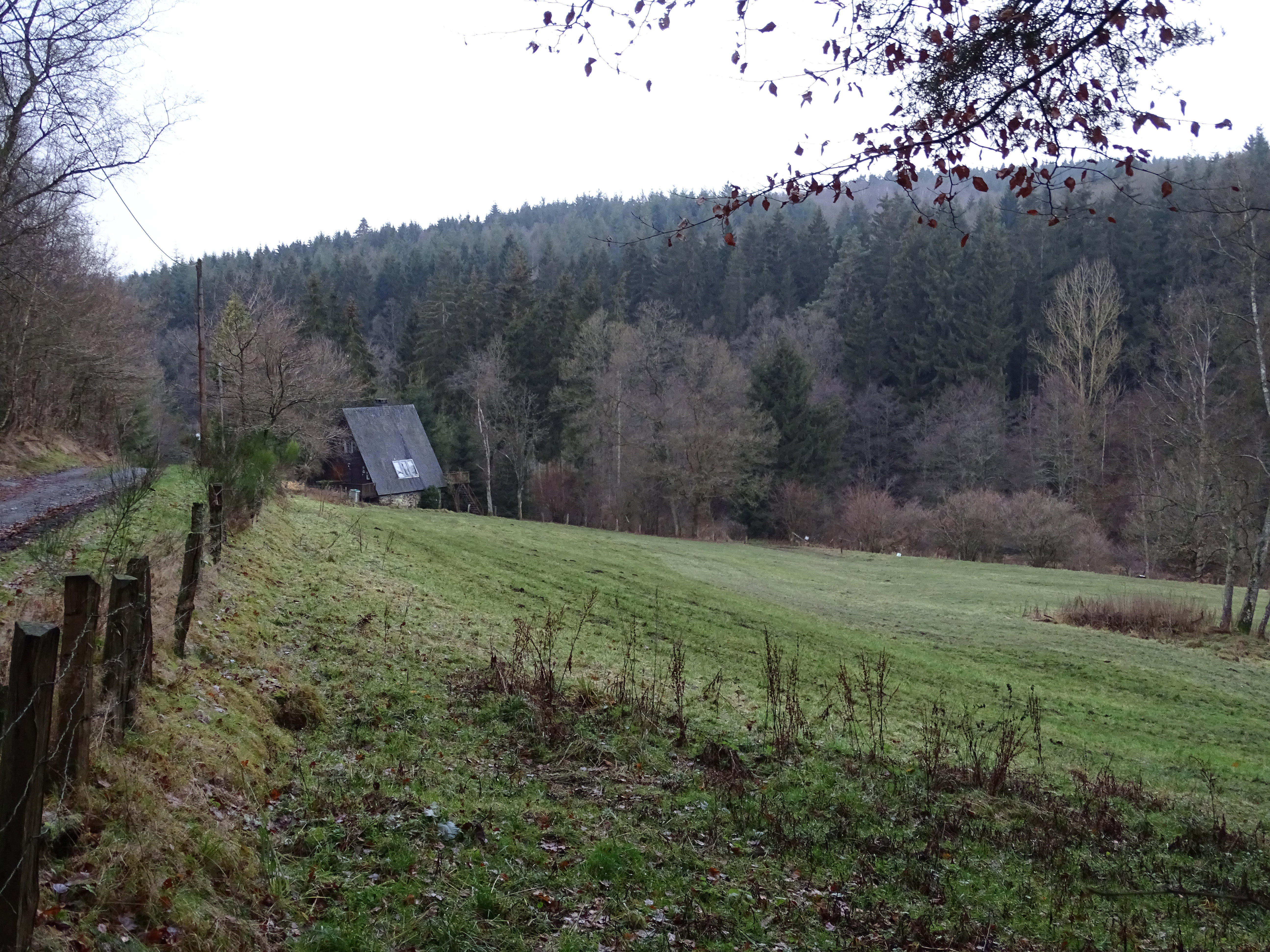 Maison nature à Bertogne