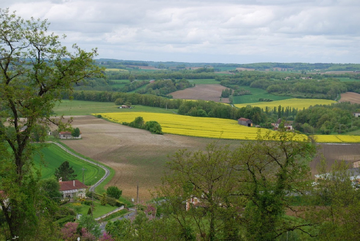 - image: 16