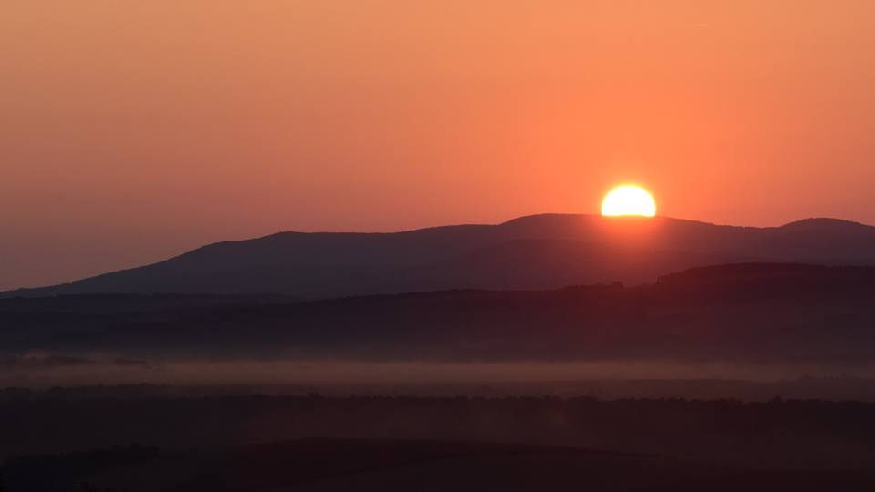 - image: 28