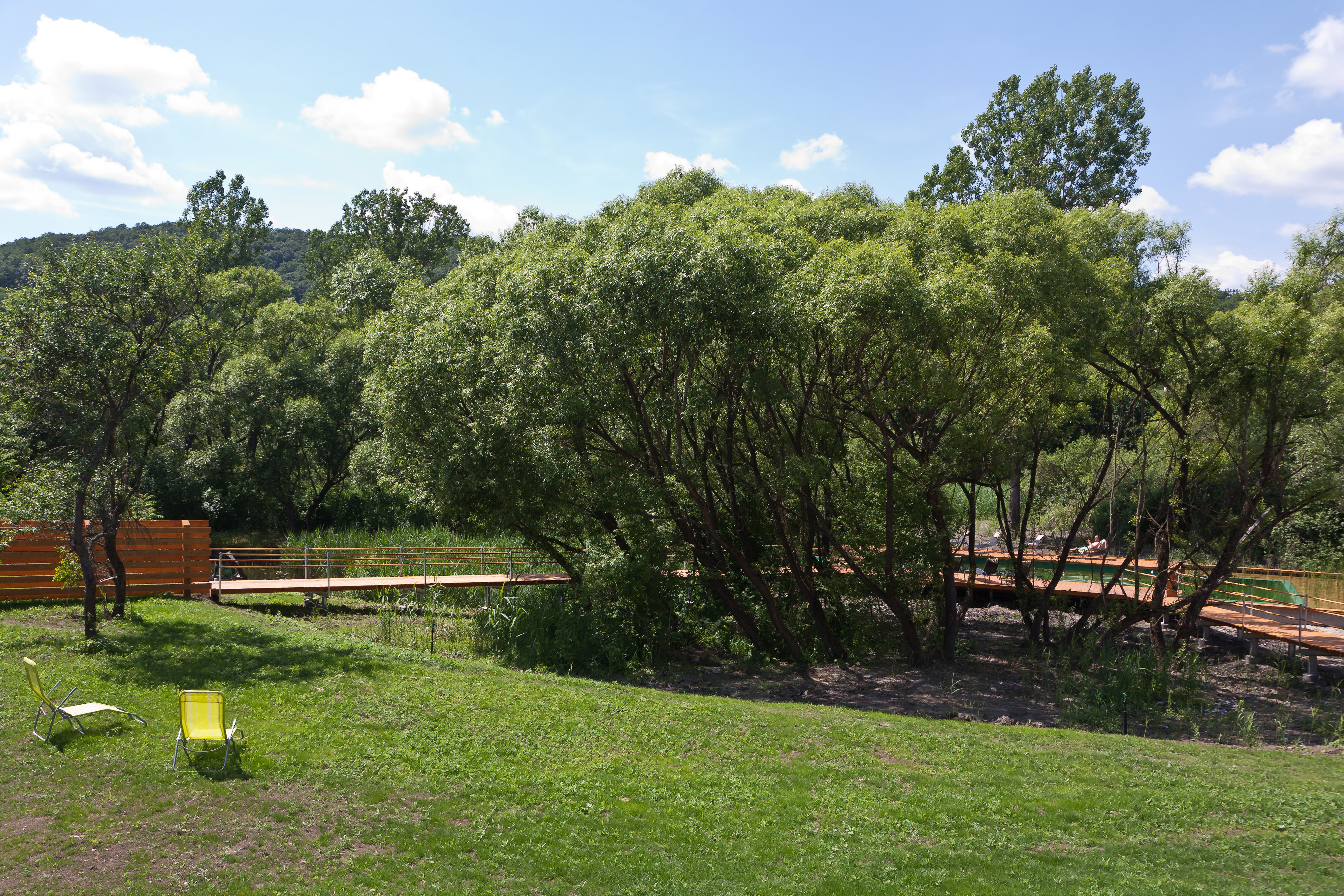 - image: 13