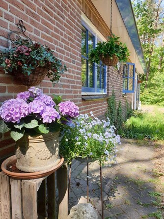 Natuurhuisje in Otterlo