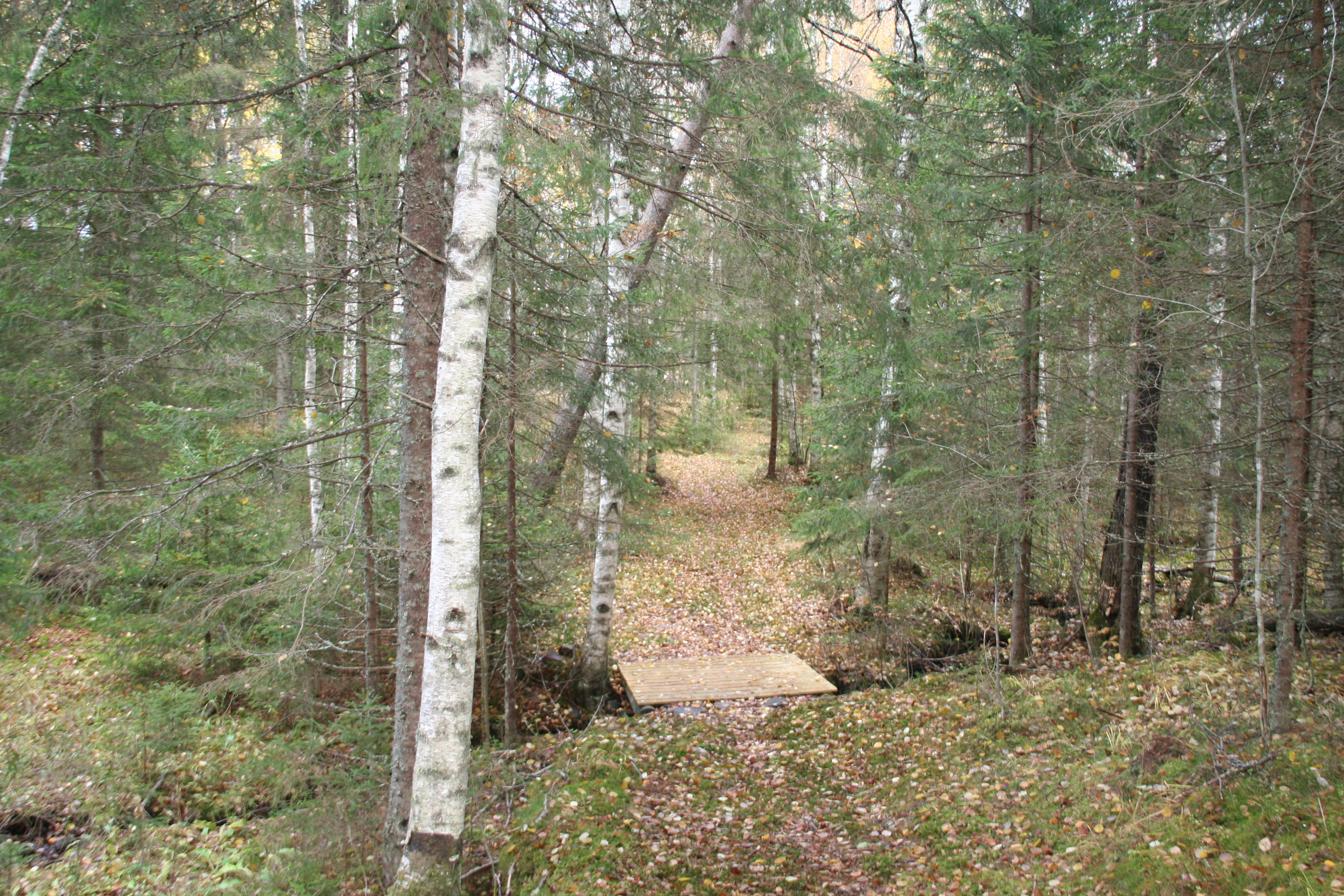 - image: 26