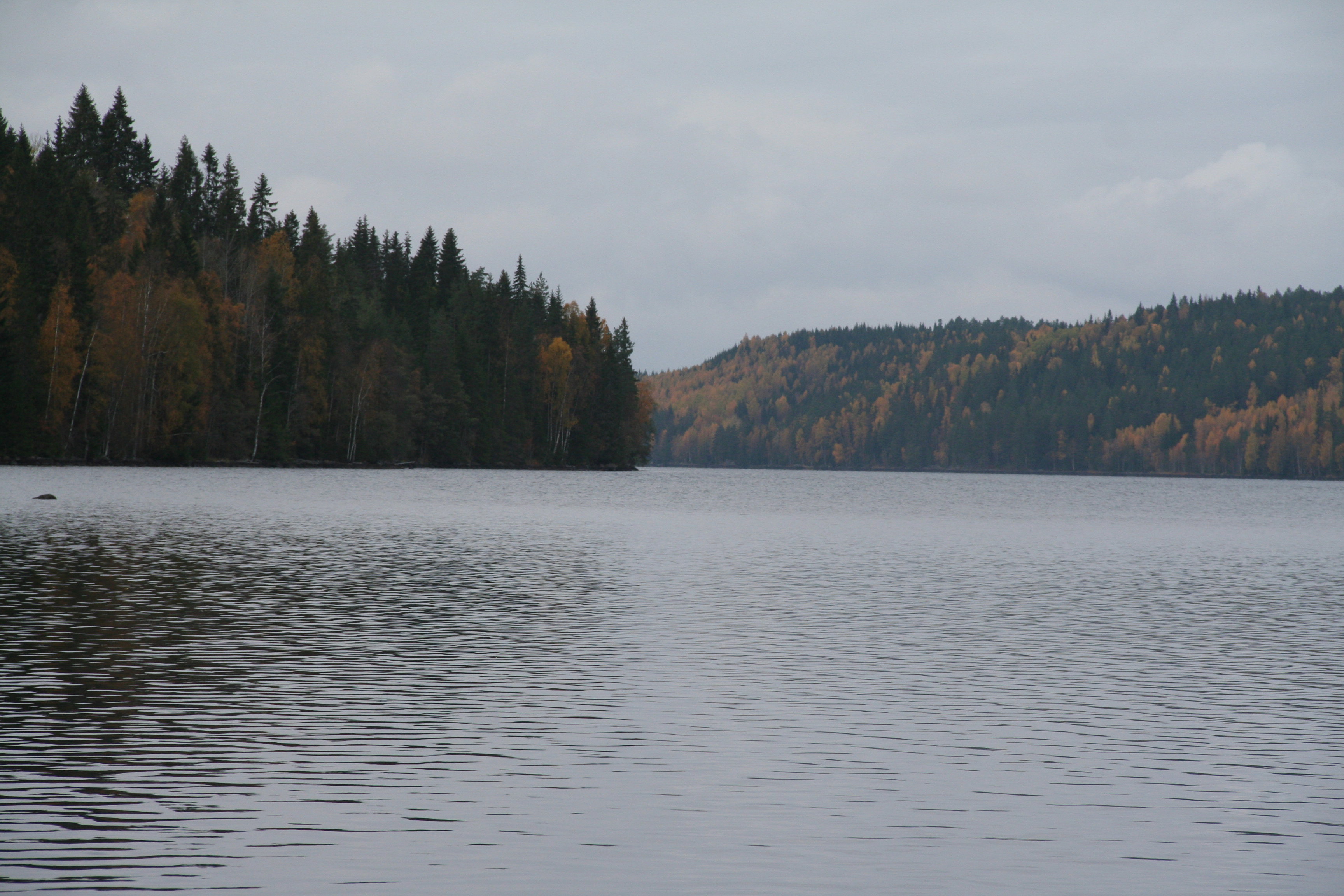 - image: 29