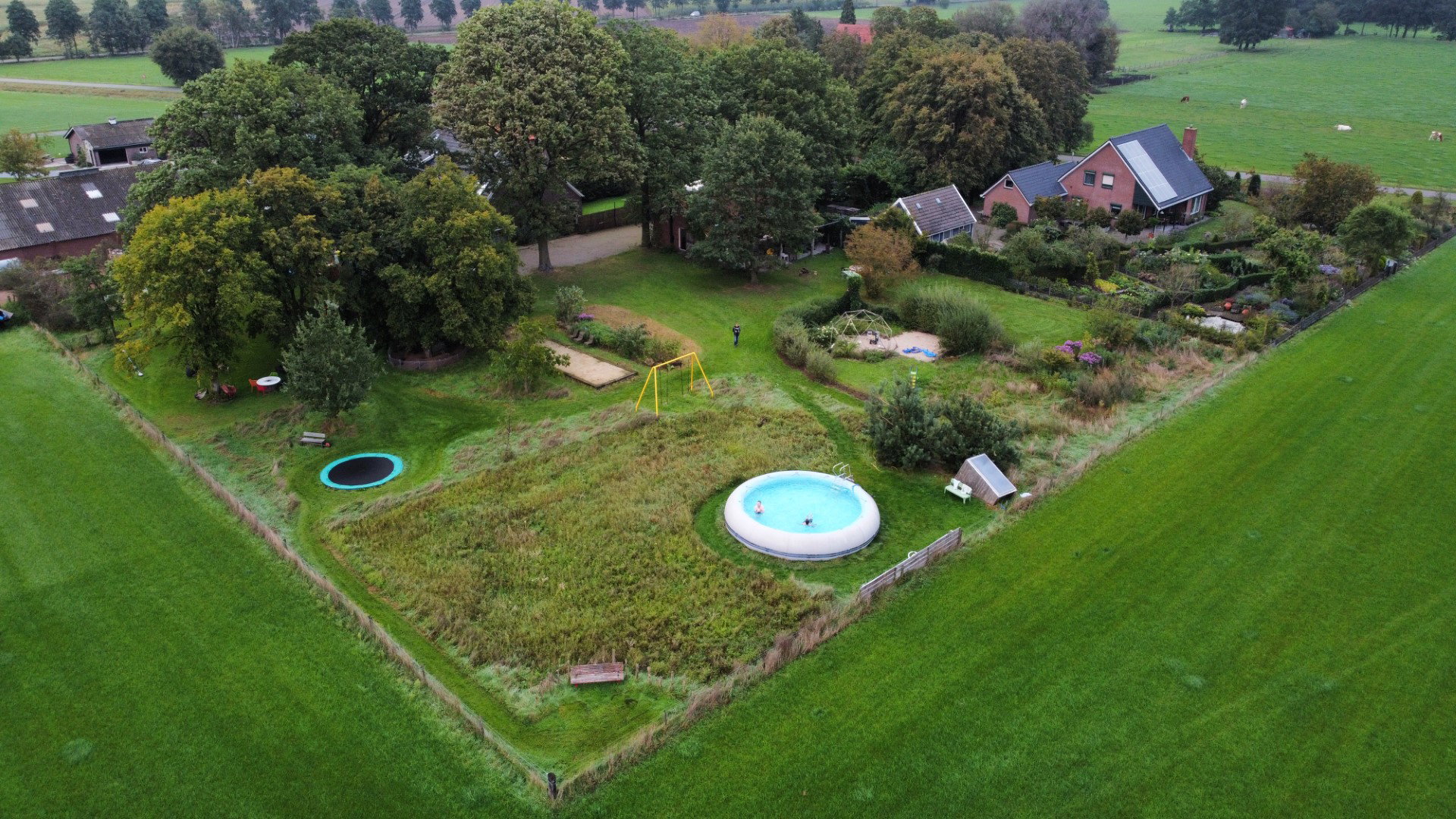 - image: 81