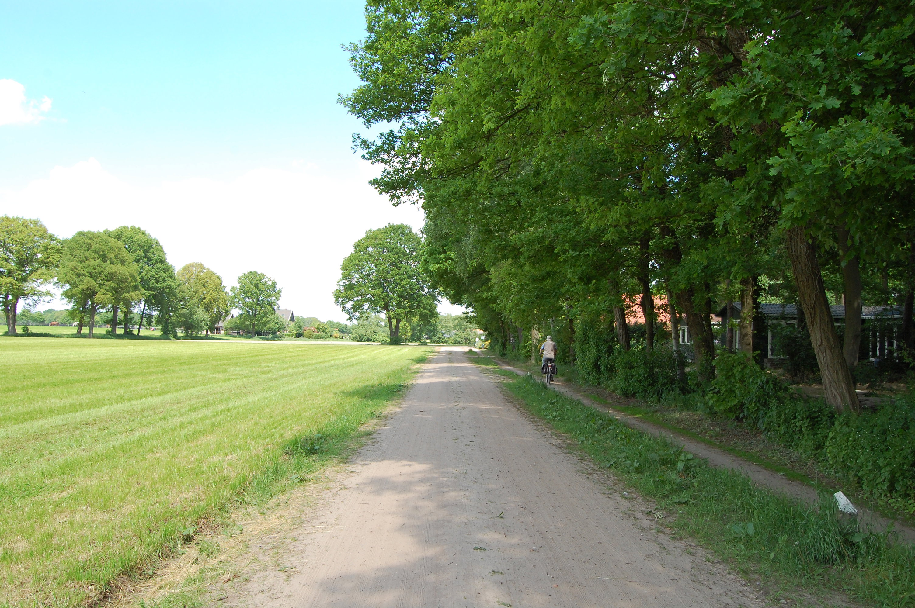 - image: 24