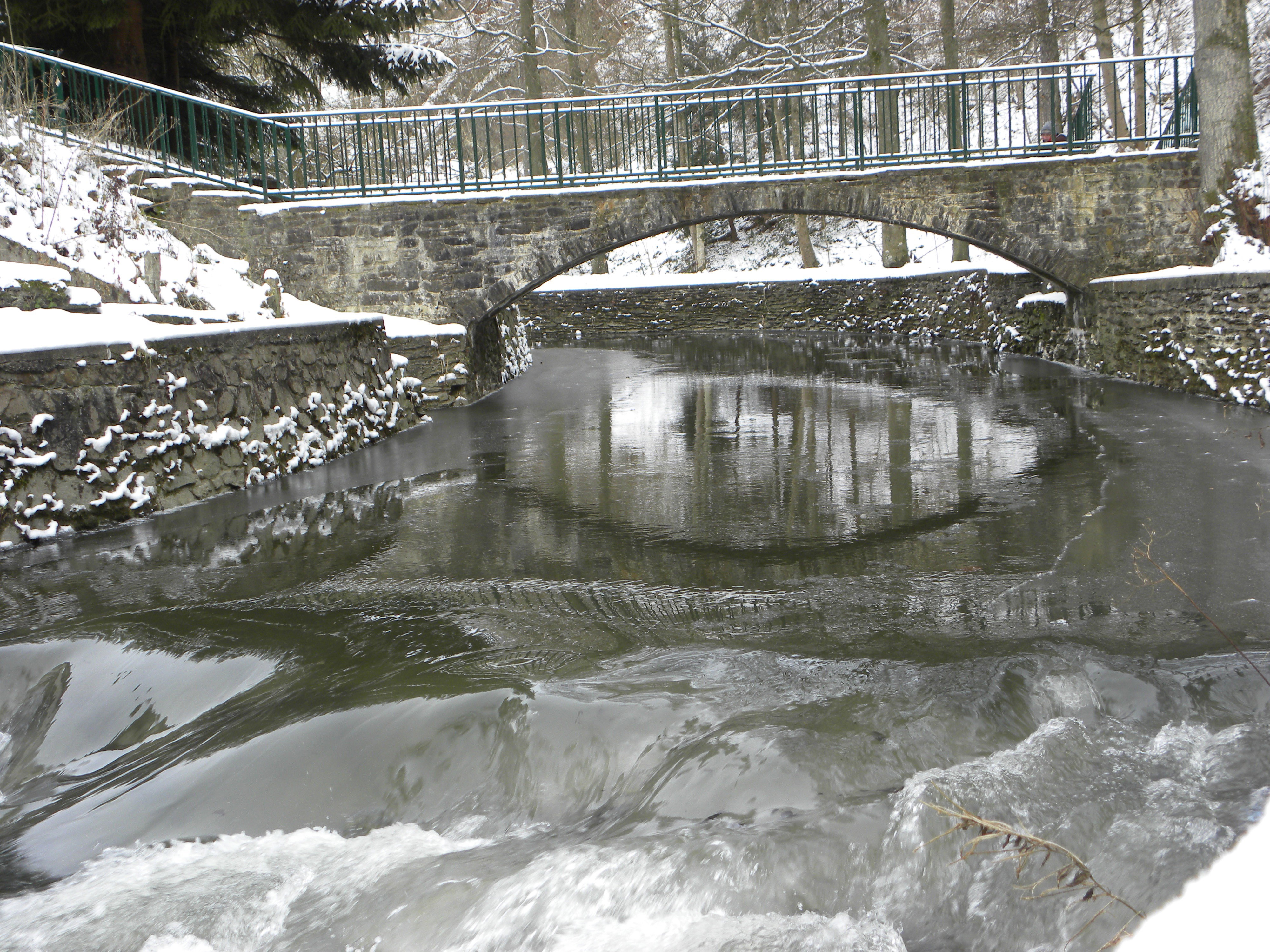 - image: 29