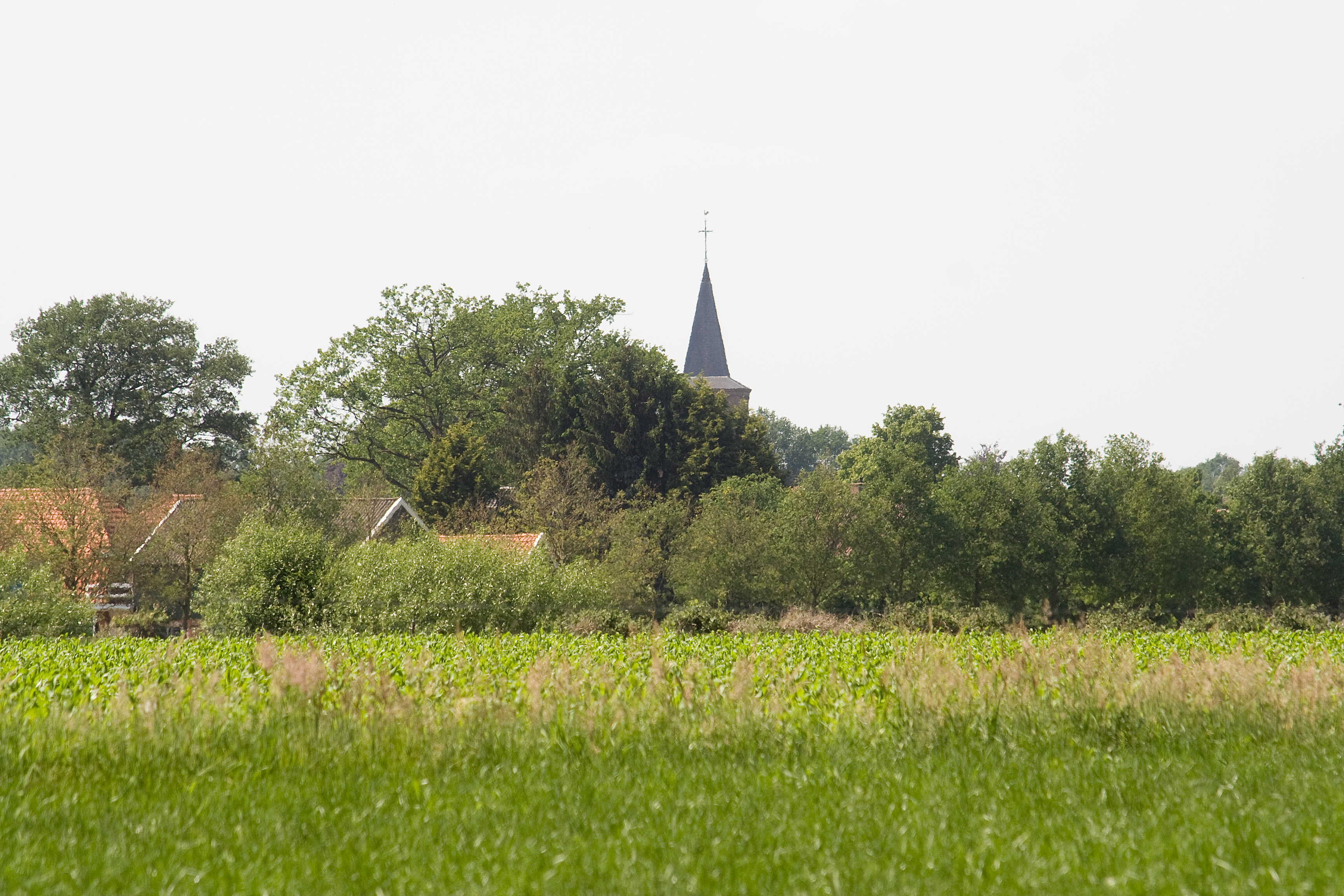 Maison nature à Rossum