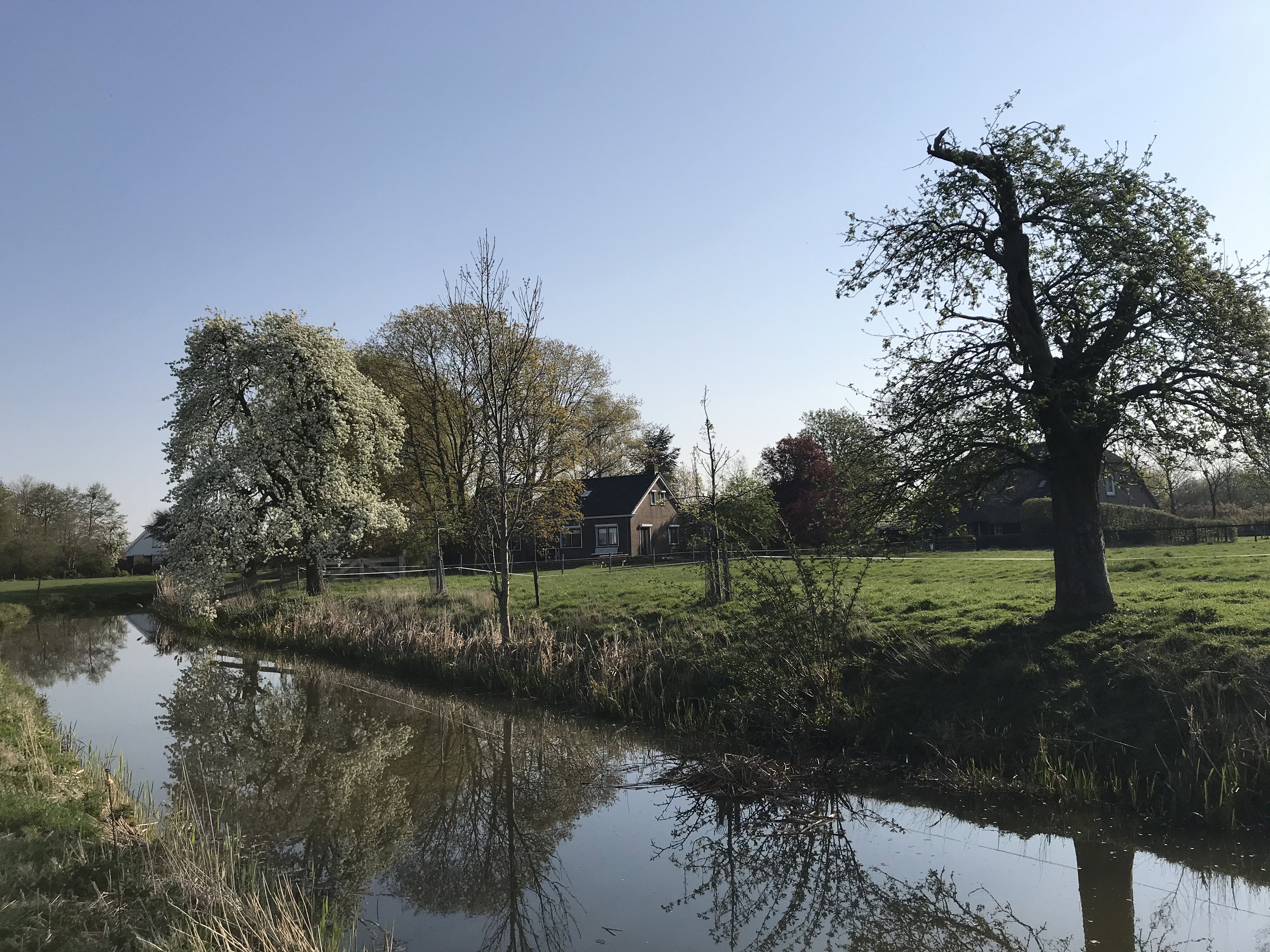 Natuurhuisje in Schalkwijk