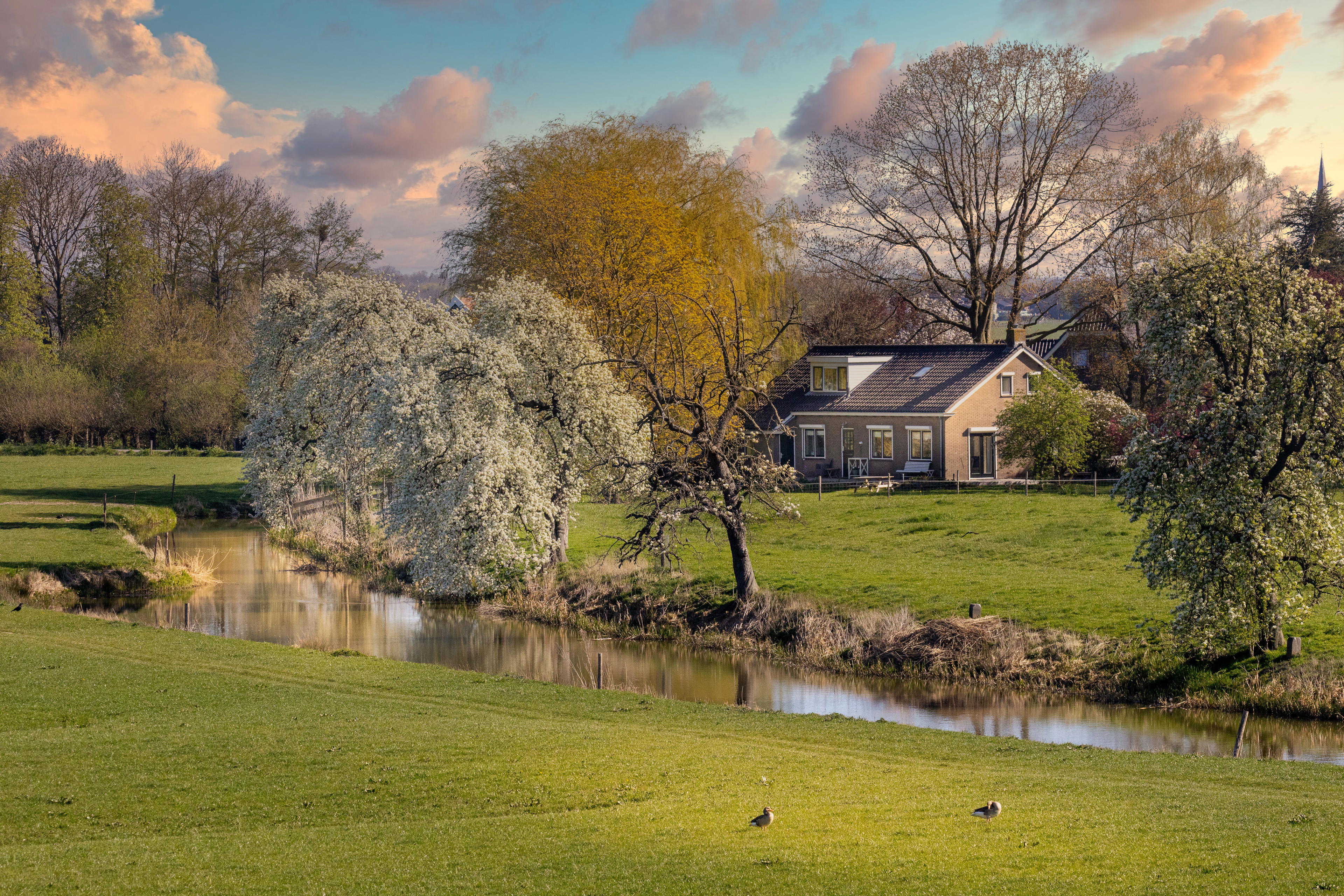 Nature house in Schalkwijk
