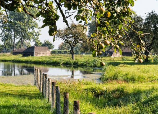 - image: 51