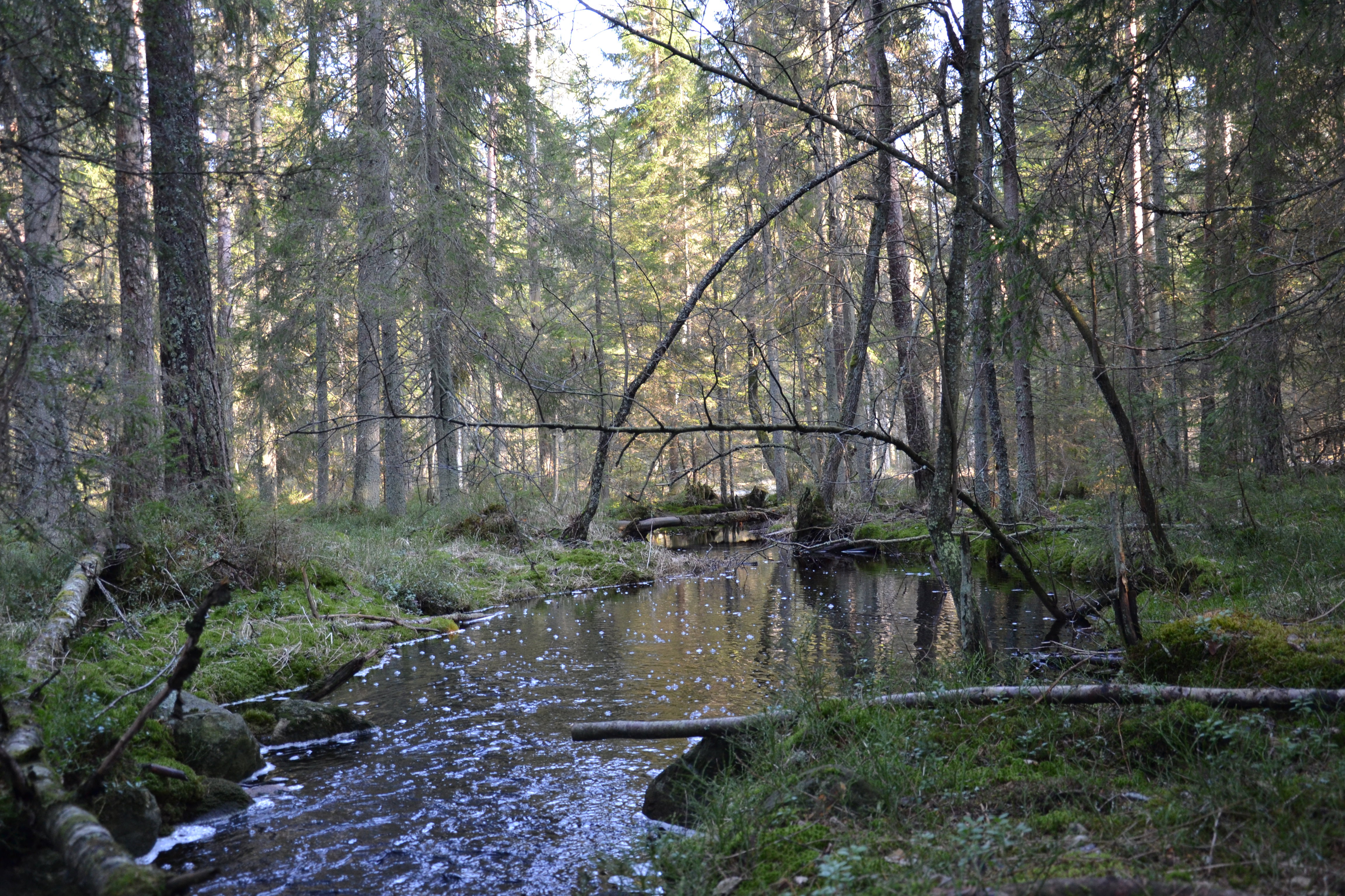 - image: 26