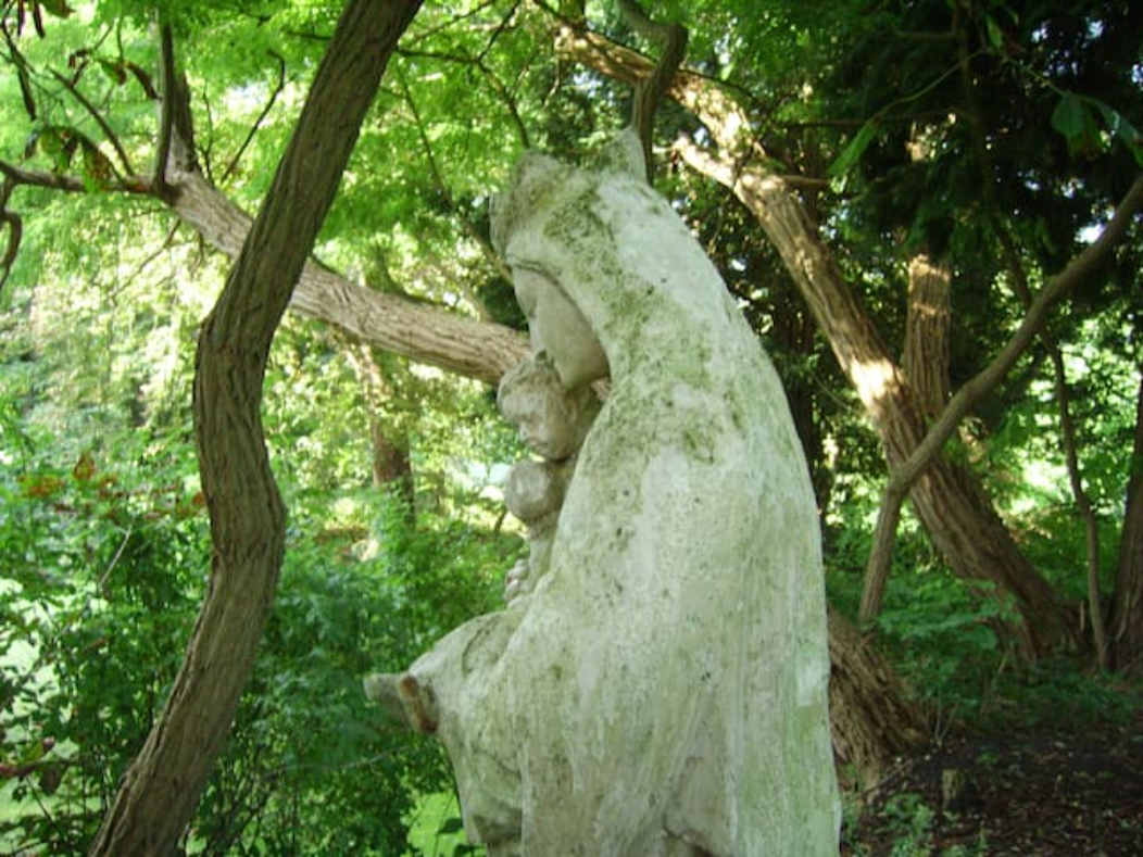 - image: 52