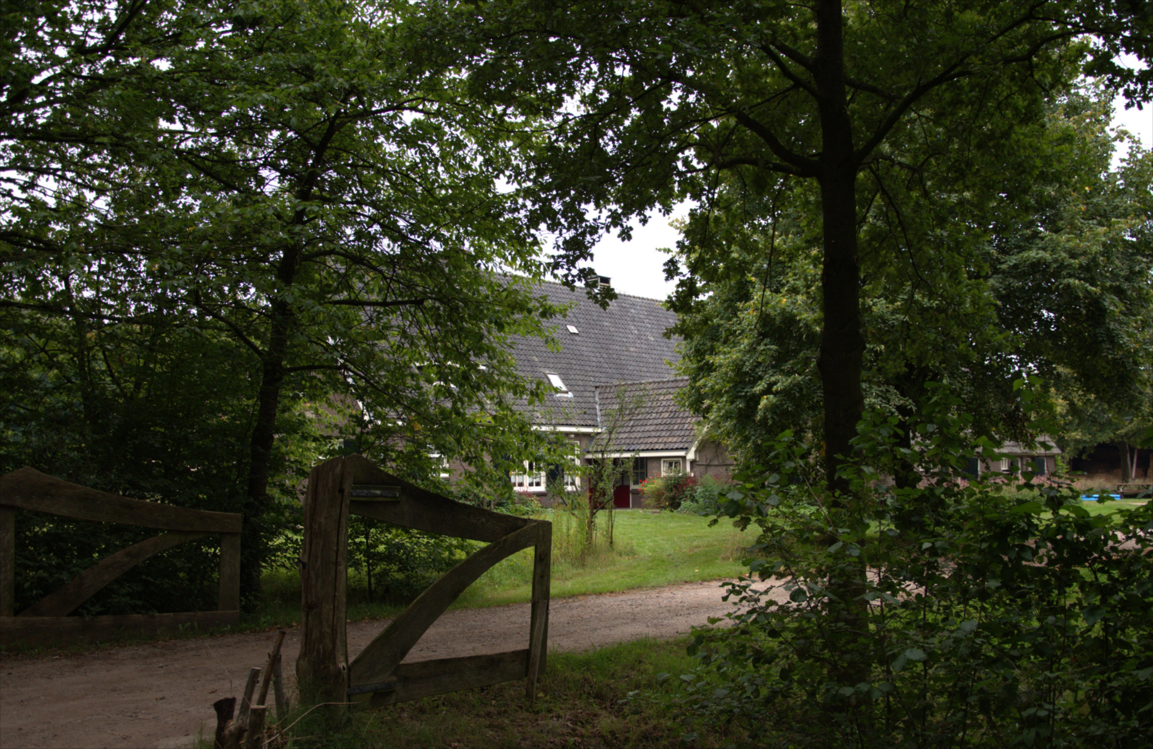 - image: 41