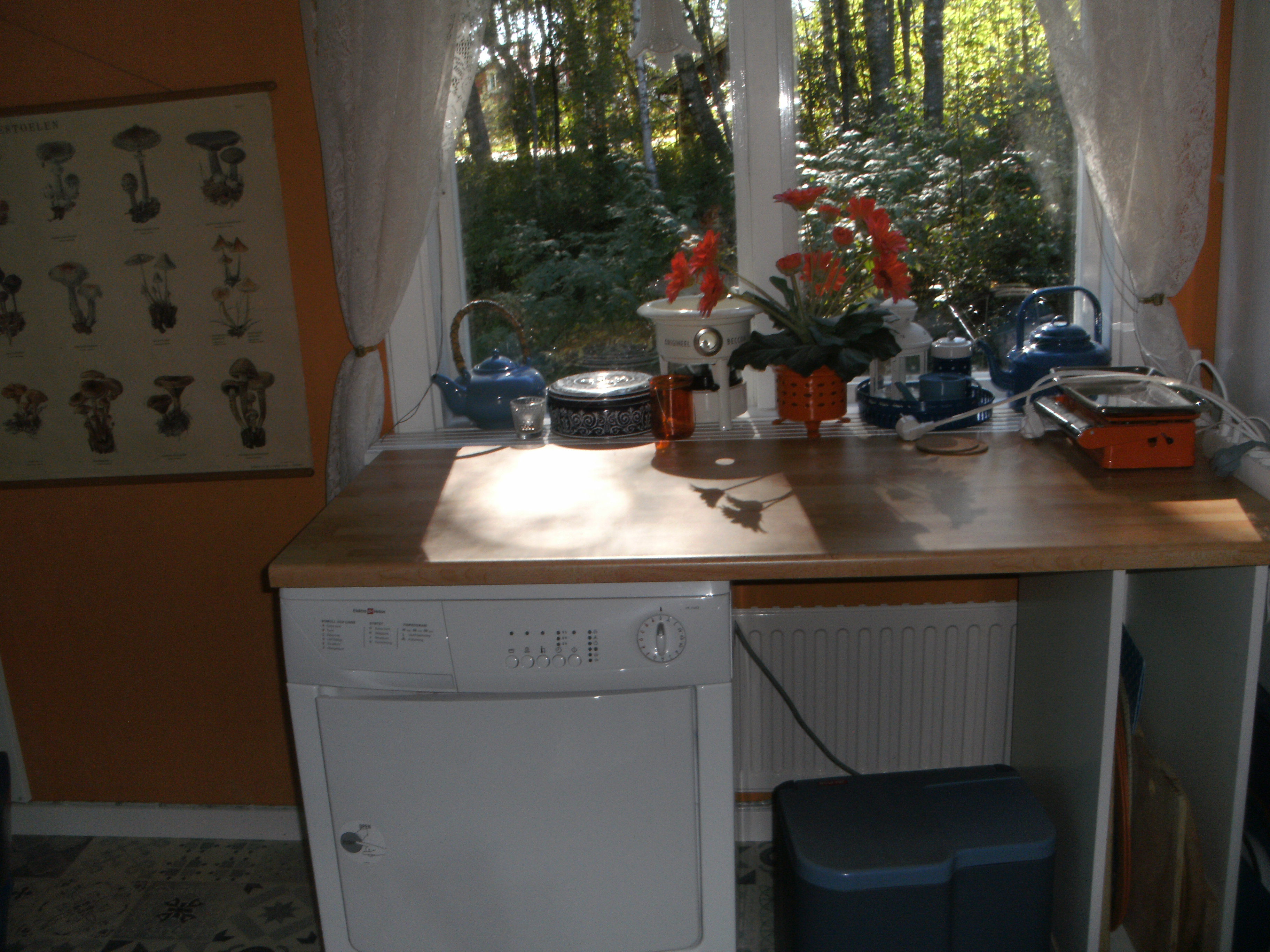 - image: 11