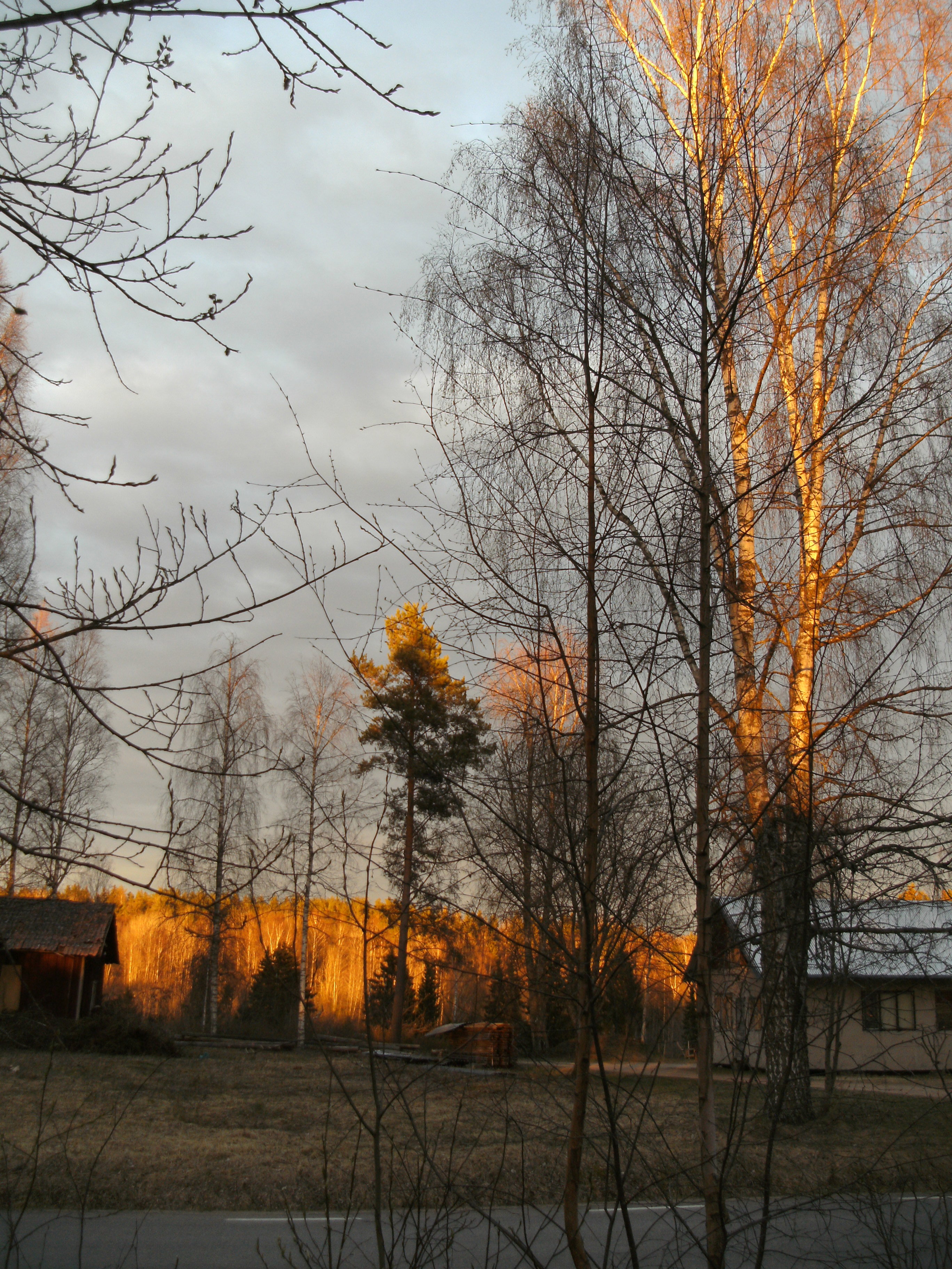 - image: 37