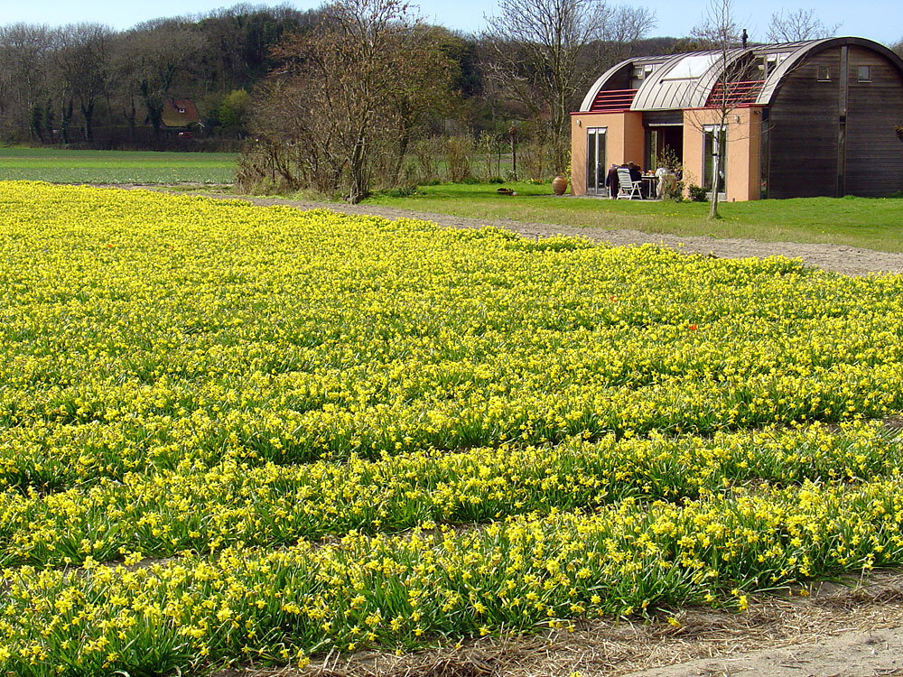 Naturhäuschen in Egmond aan de Hoef