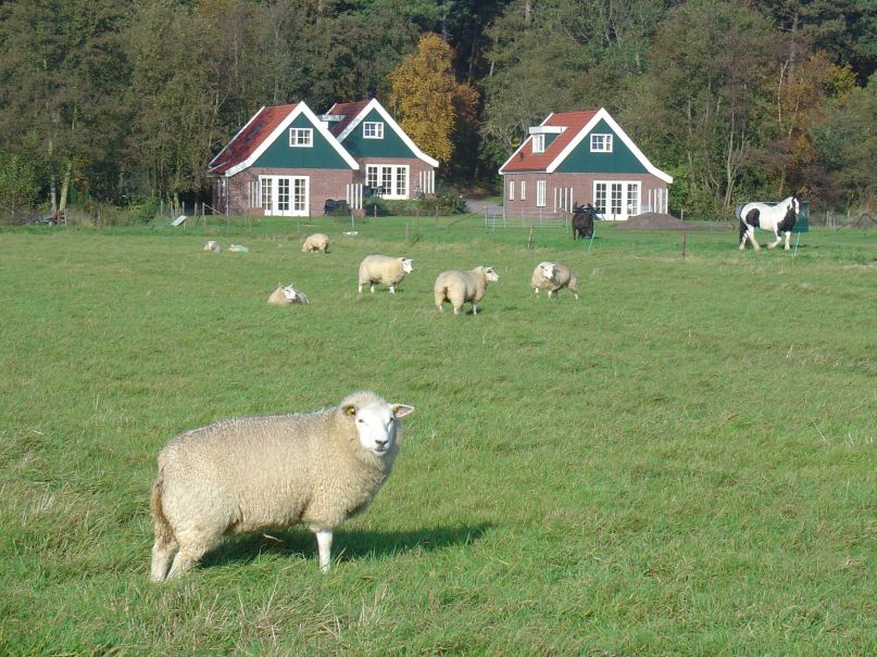 Natuurhuisje in Den Burg