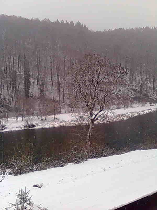 - image: 25