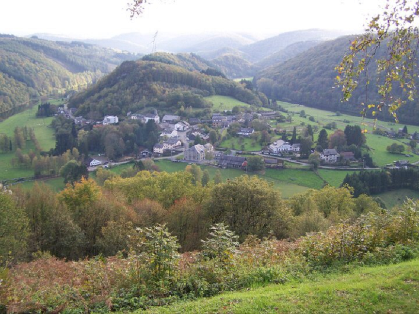 - image: 12