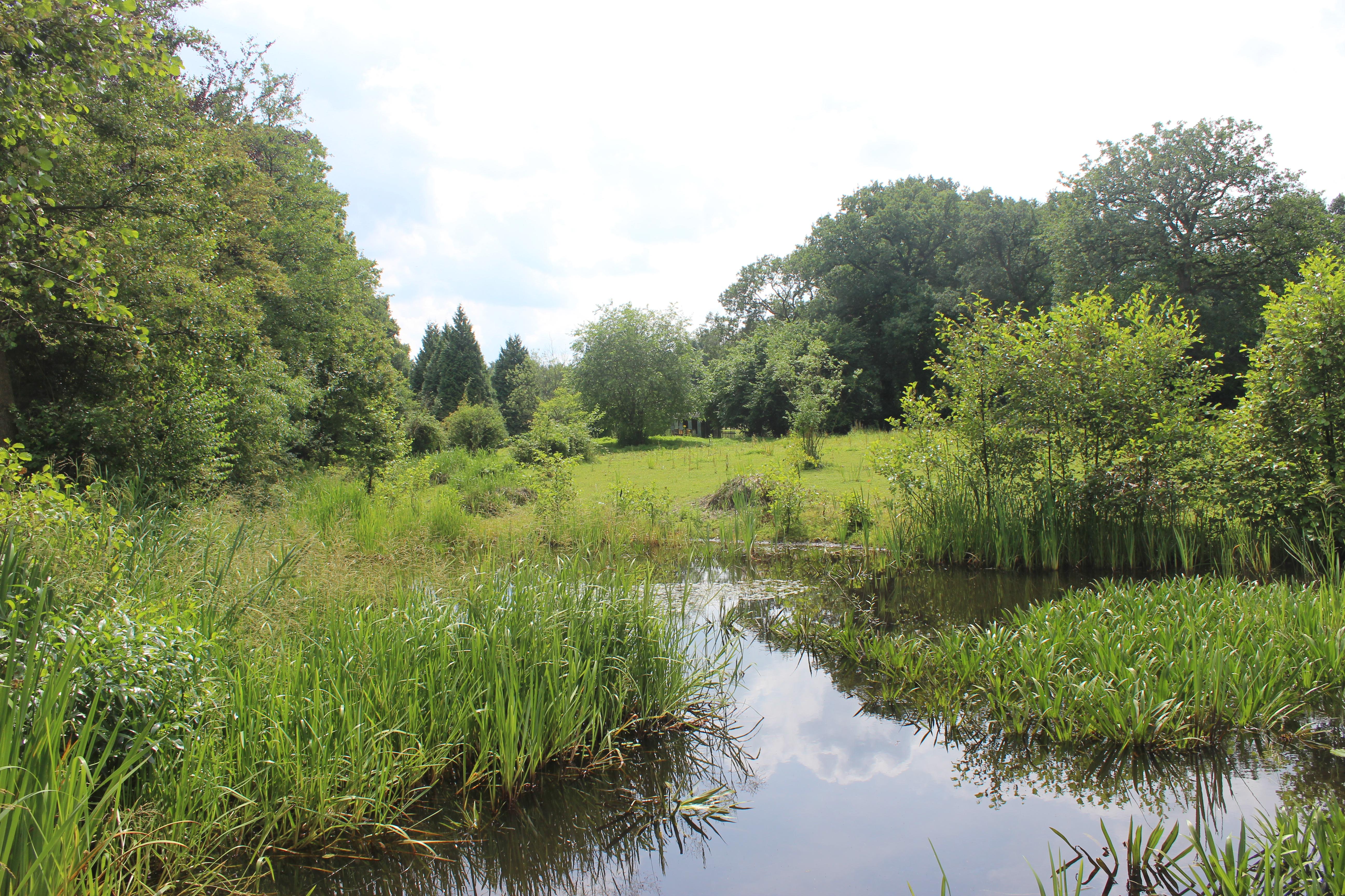 Nature house in Wenum Wiesel