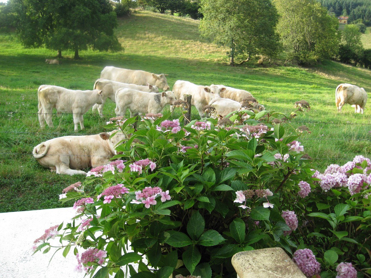 Maison nature à Uxeau
