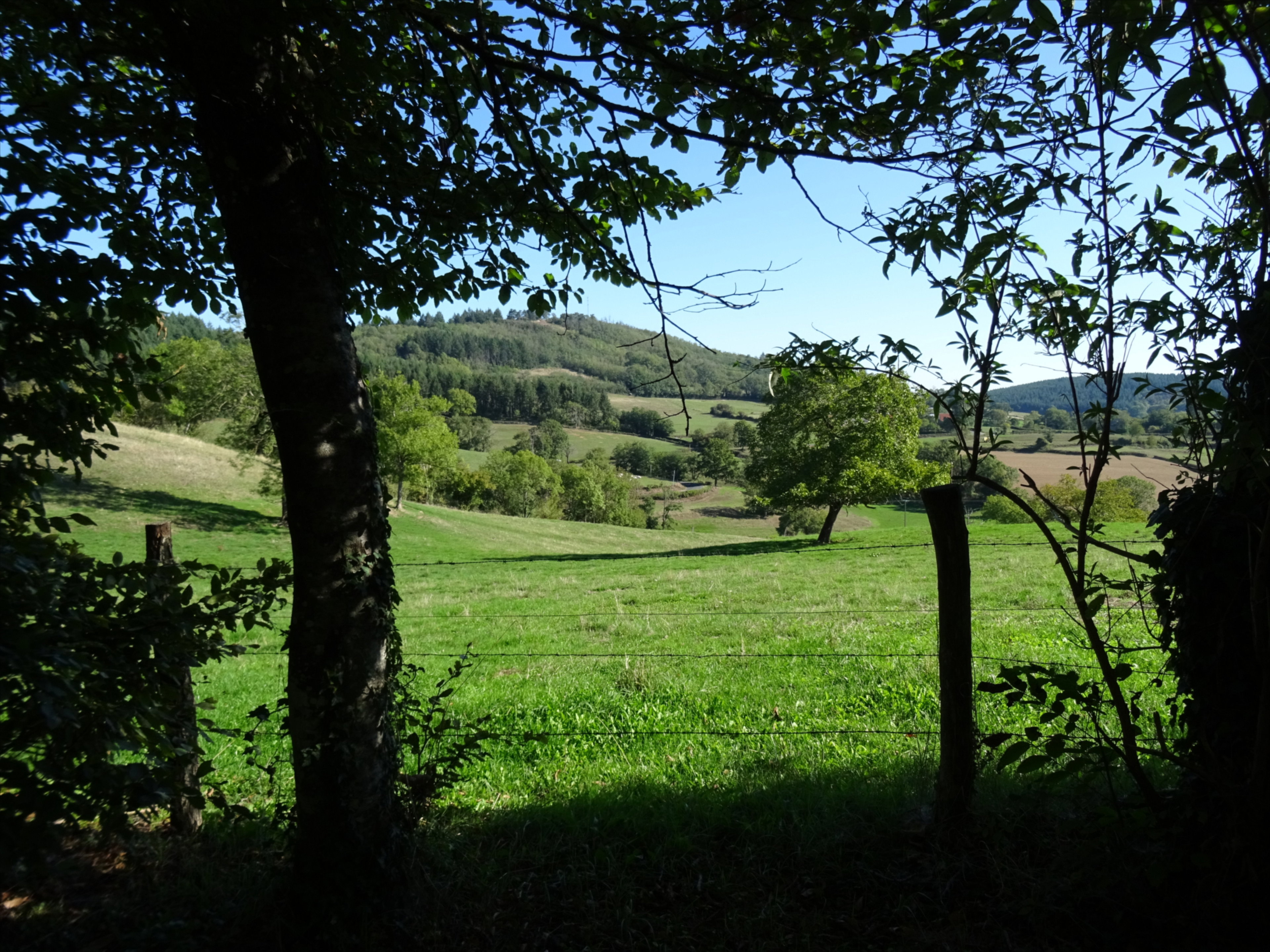 Natuurhuisje in Uxeau