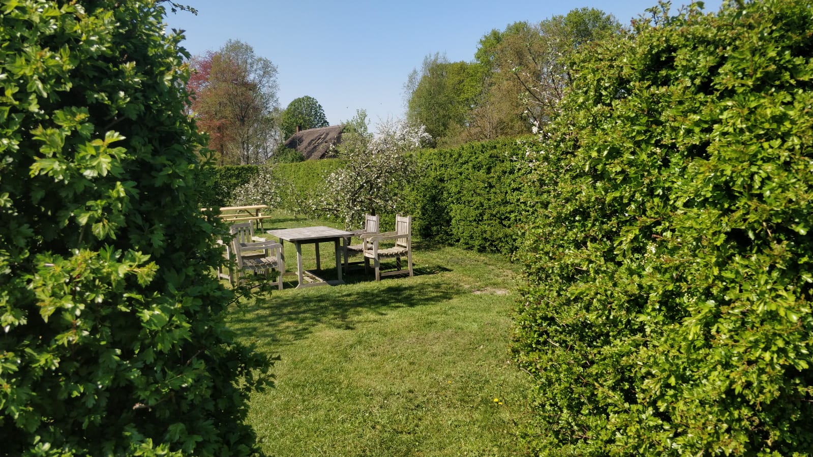 Natuurhuisje in Dwingeloo