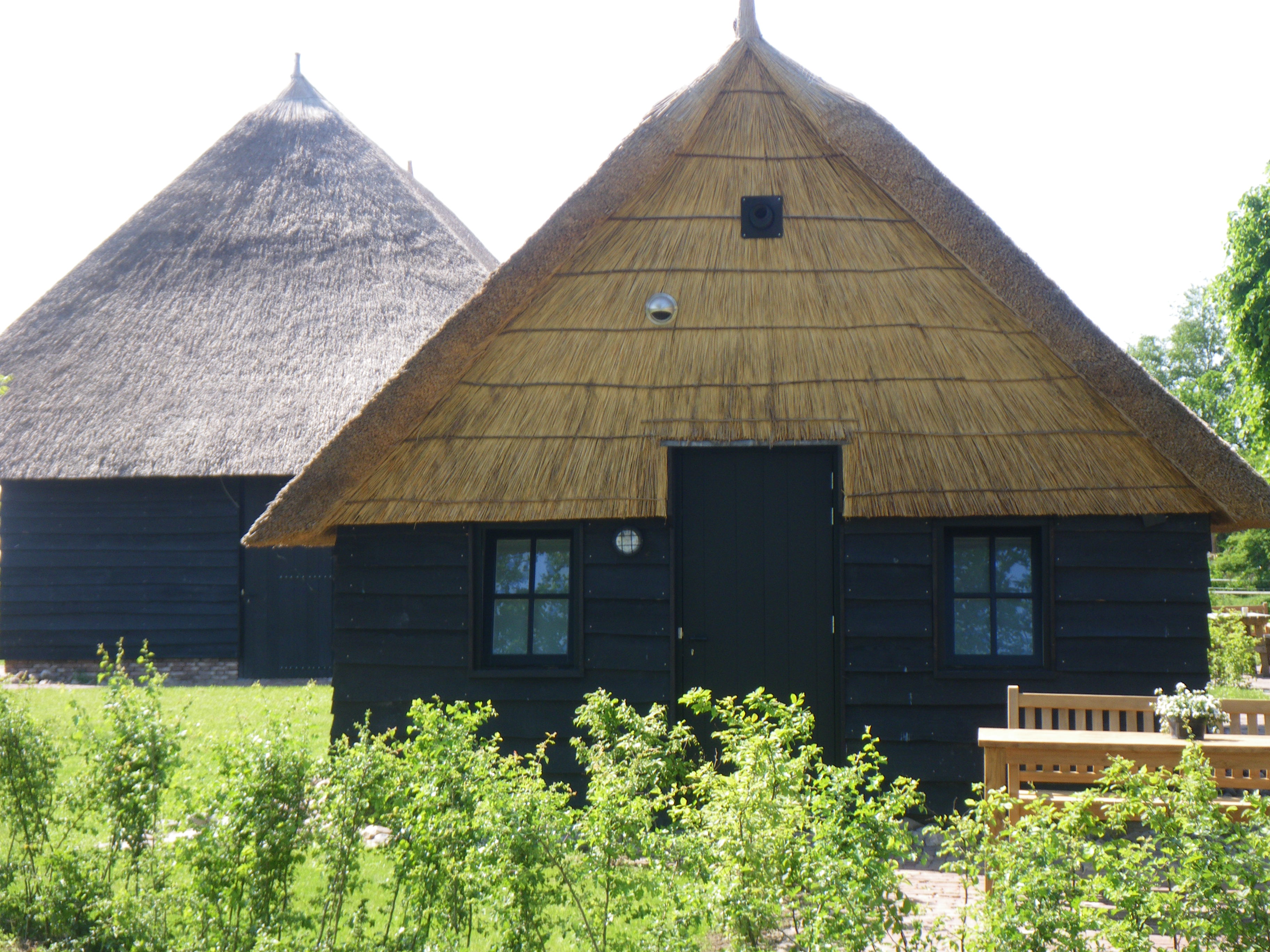 Nature house in Dwingeloo
