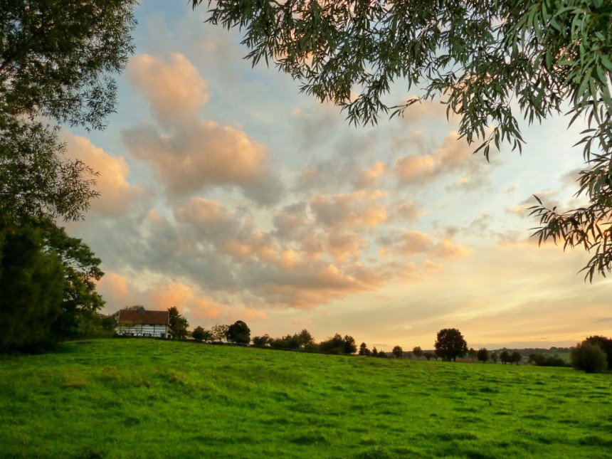 - image: 13