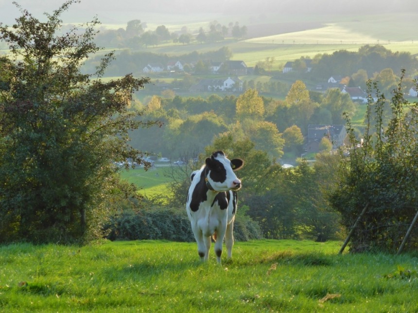 Naturhäuschen in Mechelen