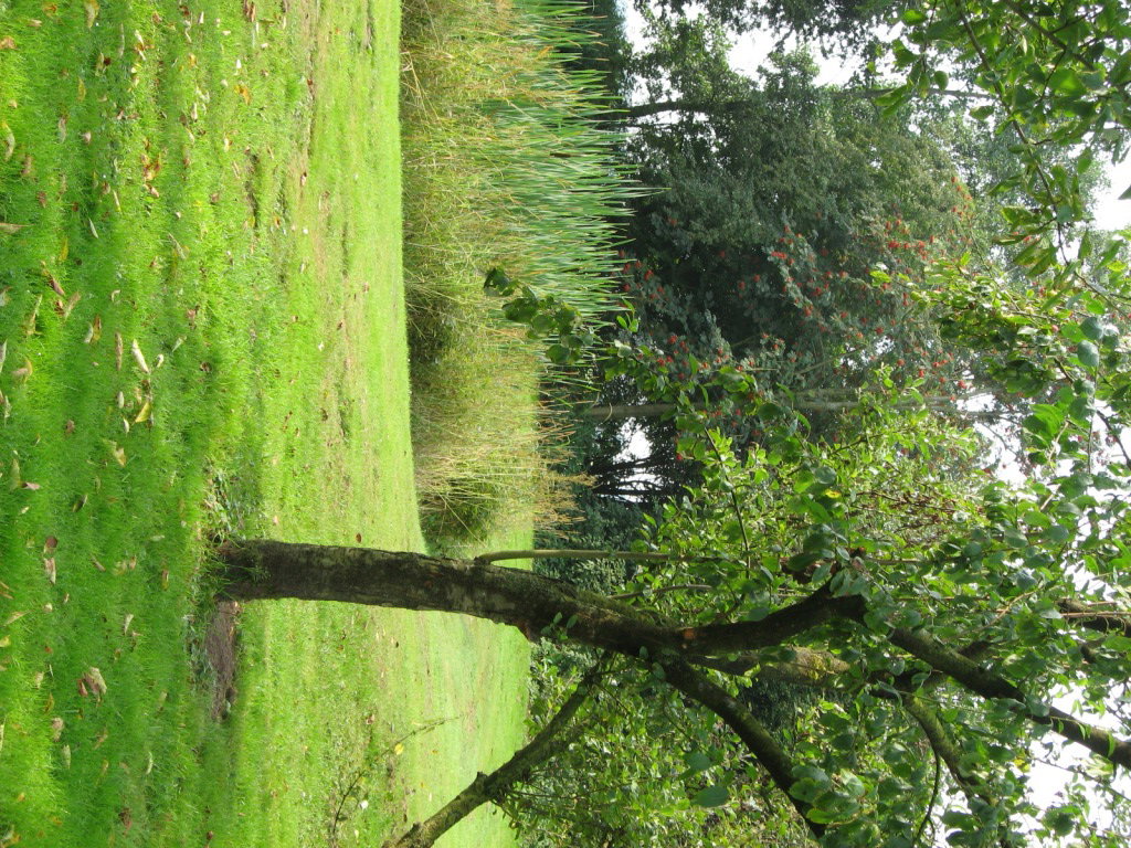 - image: 15