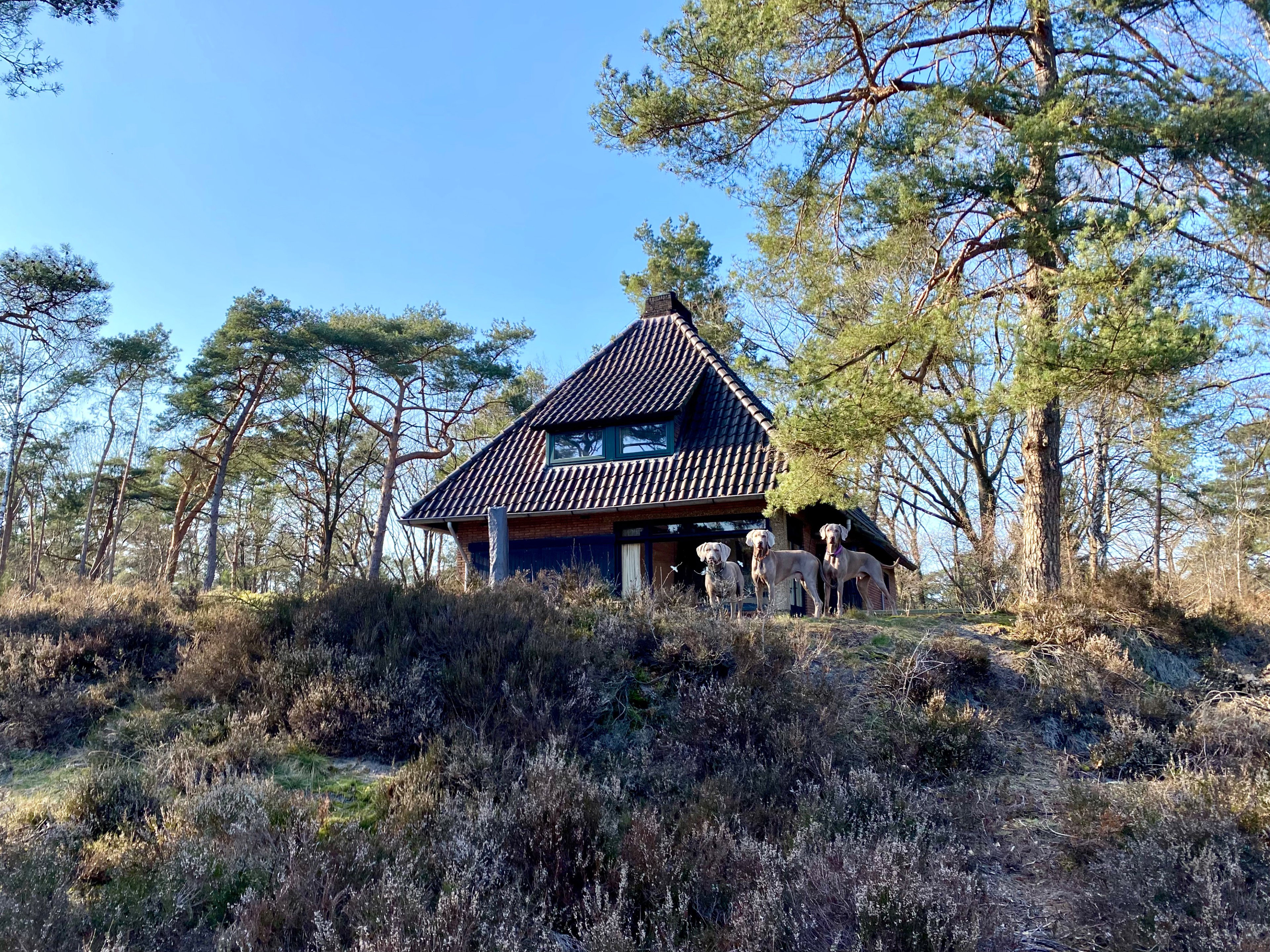 Naturhäuschen in Epe