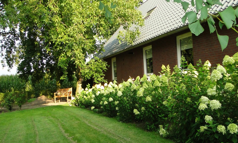 - image: 11