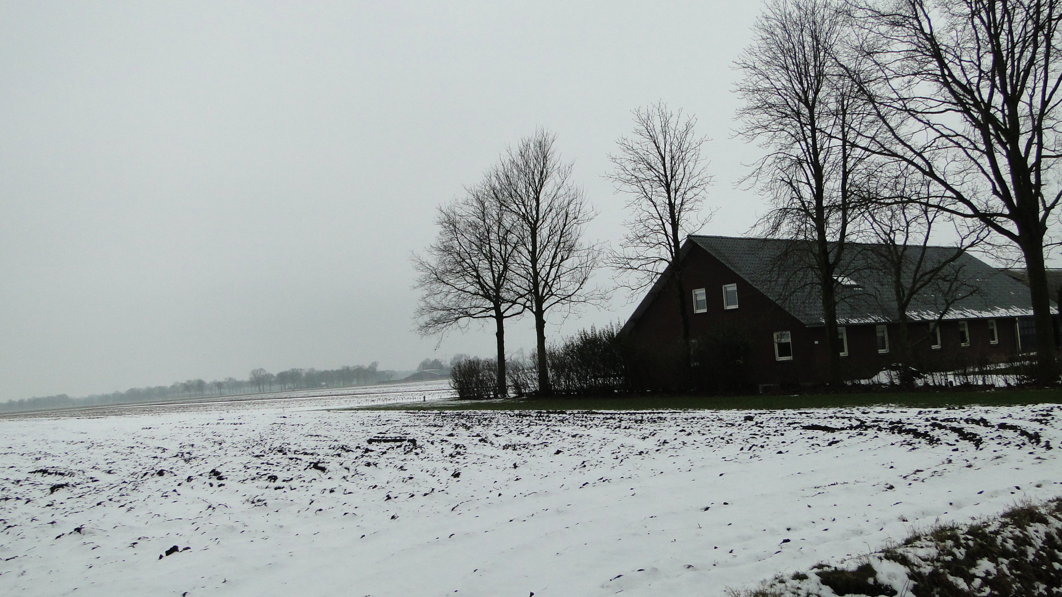 Maison nature à Boekel